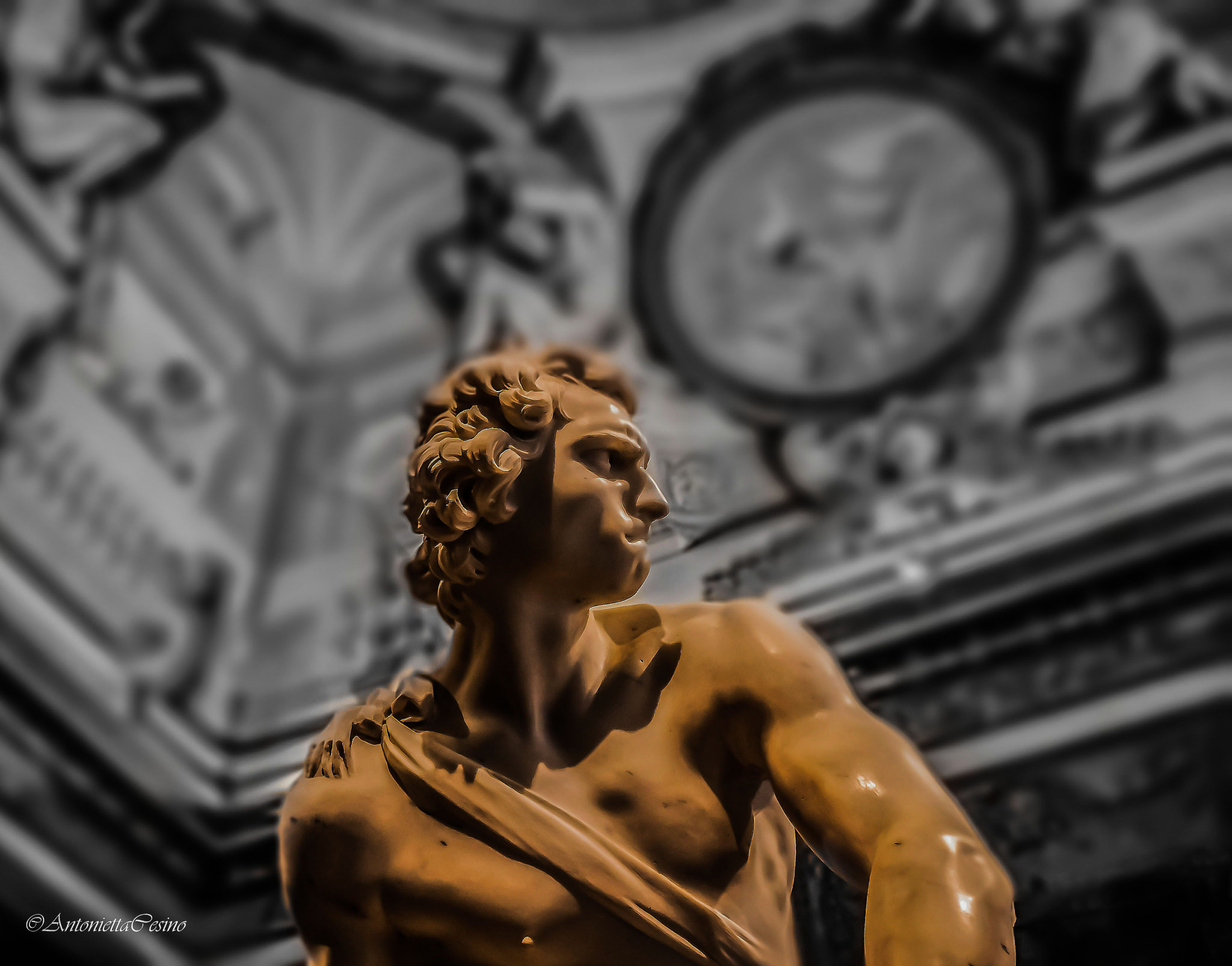 Canon EF-S 24mm F2.8 STM sample photo. The force - il davide di bernini - galleria borghese photography