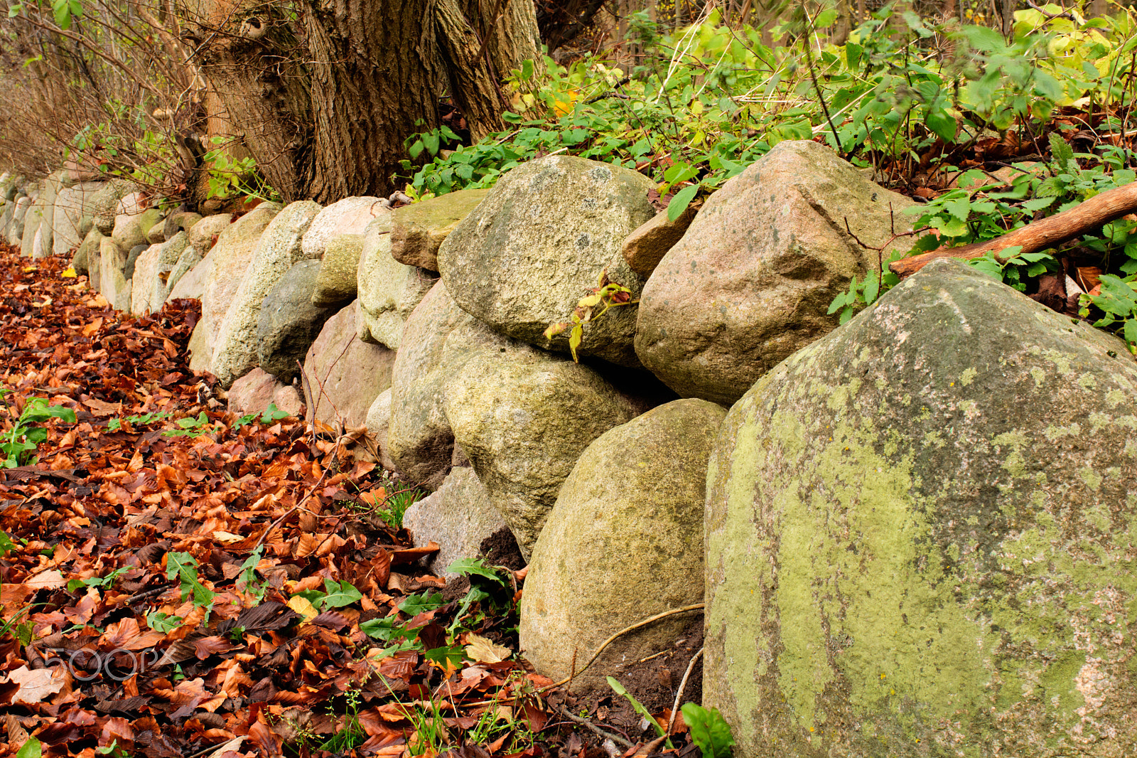 Nikon D5200 + AF-S Nikkor 35mm f/1.8G sample photo. Stone fence photography