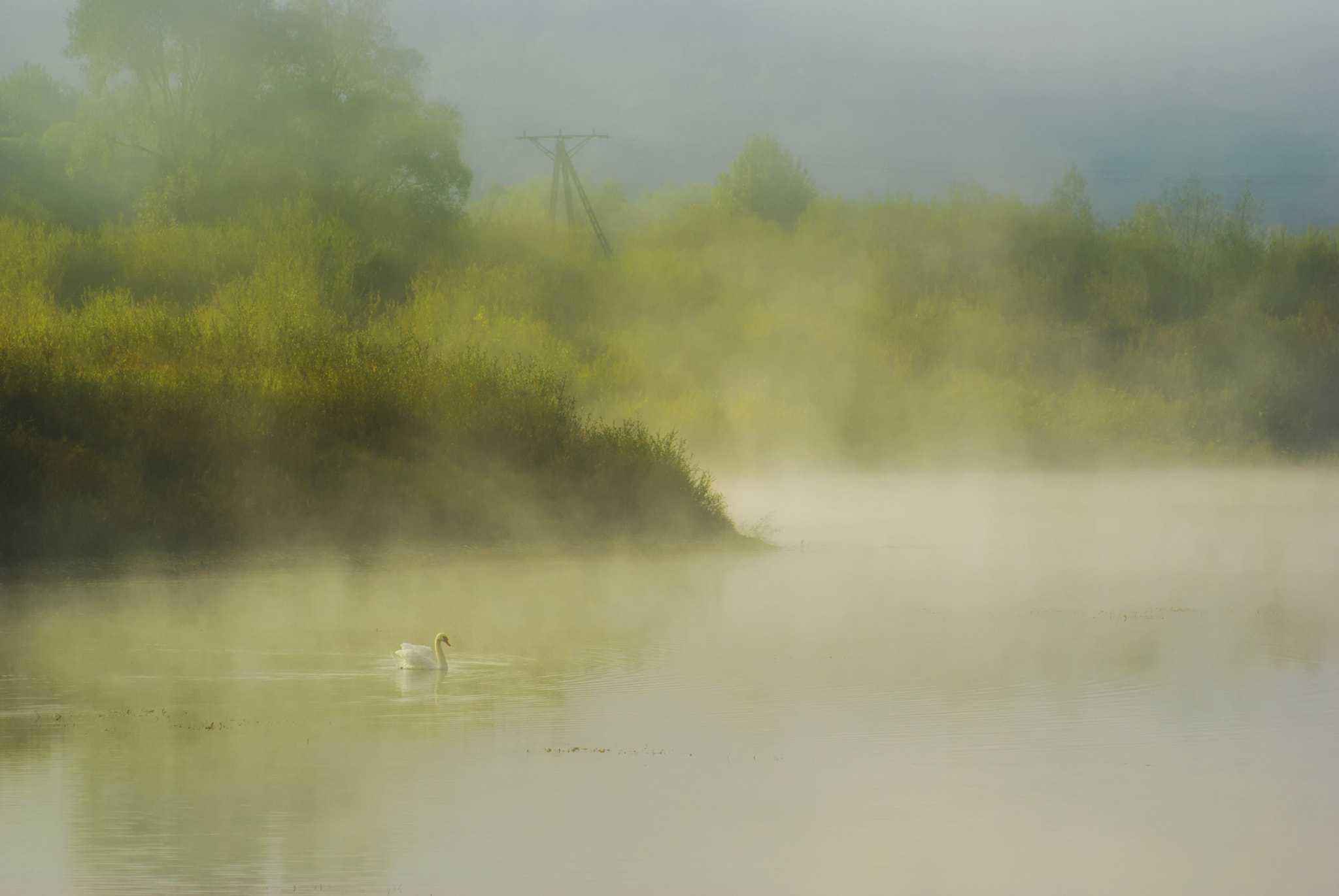 Pentax K10D sample photo. Foggy morning photography