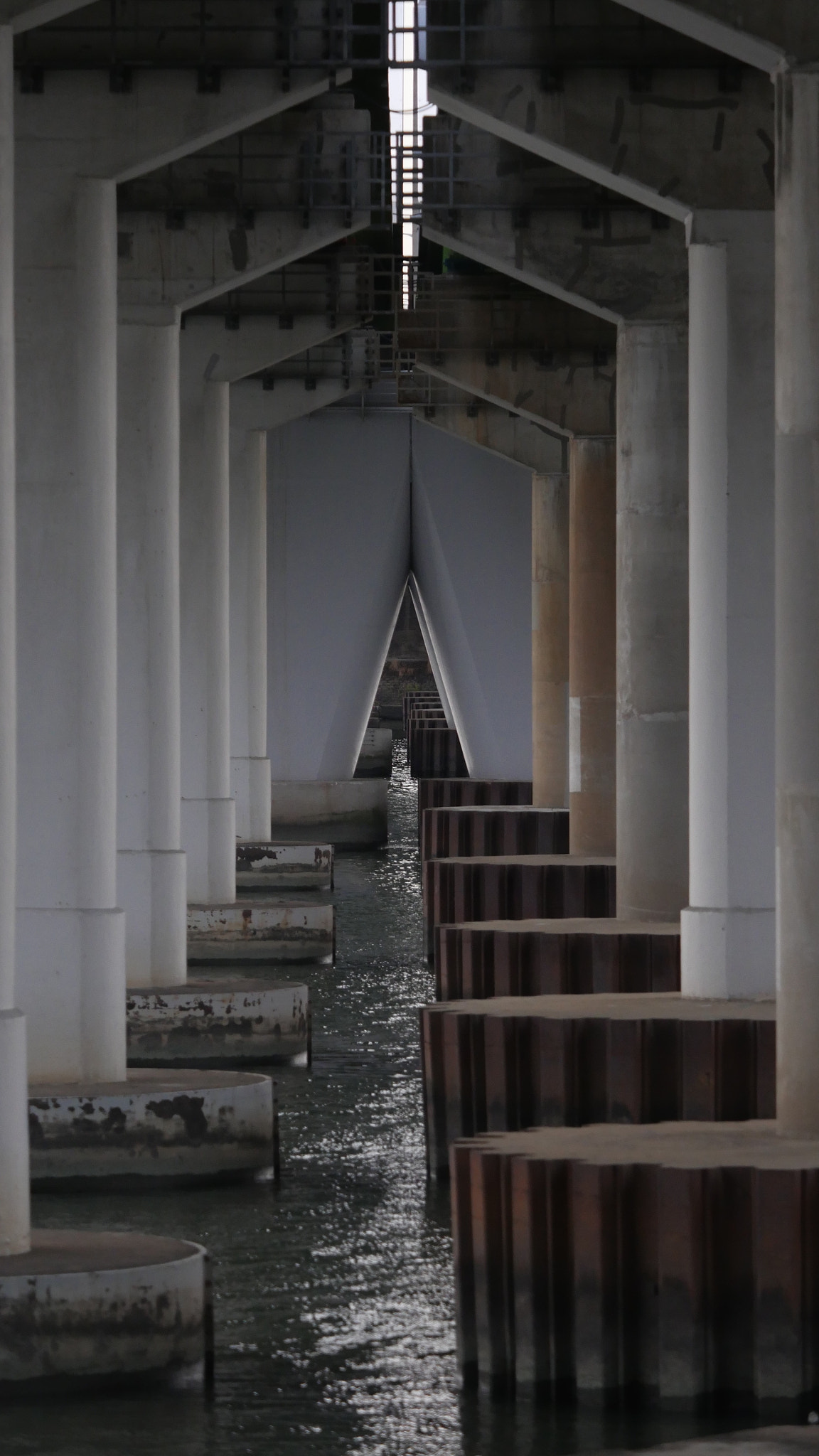 Panasonic Lumix DMC-GH4 + Olympus M.Zuiko Digital ED 40-150mm F2.8 Pro sample photo. River-8 photography