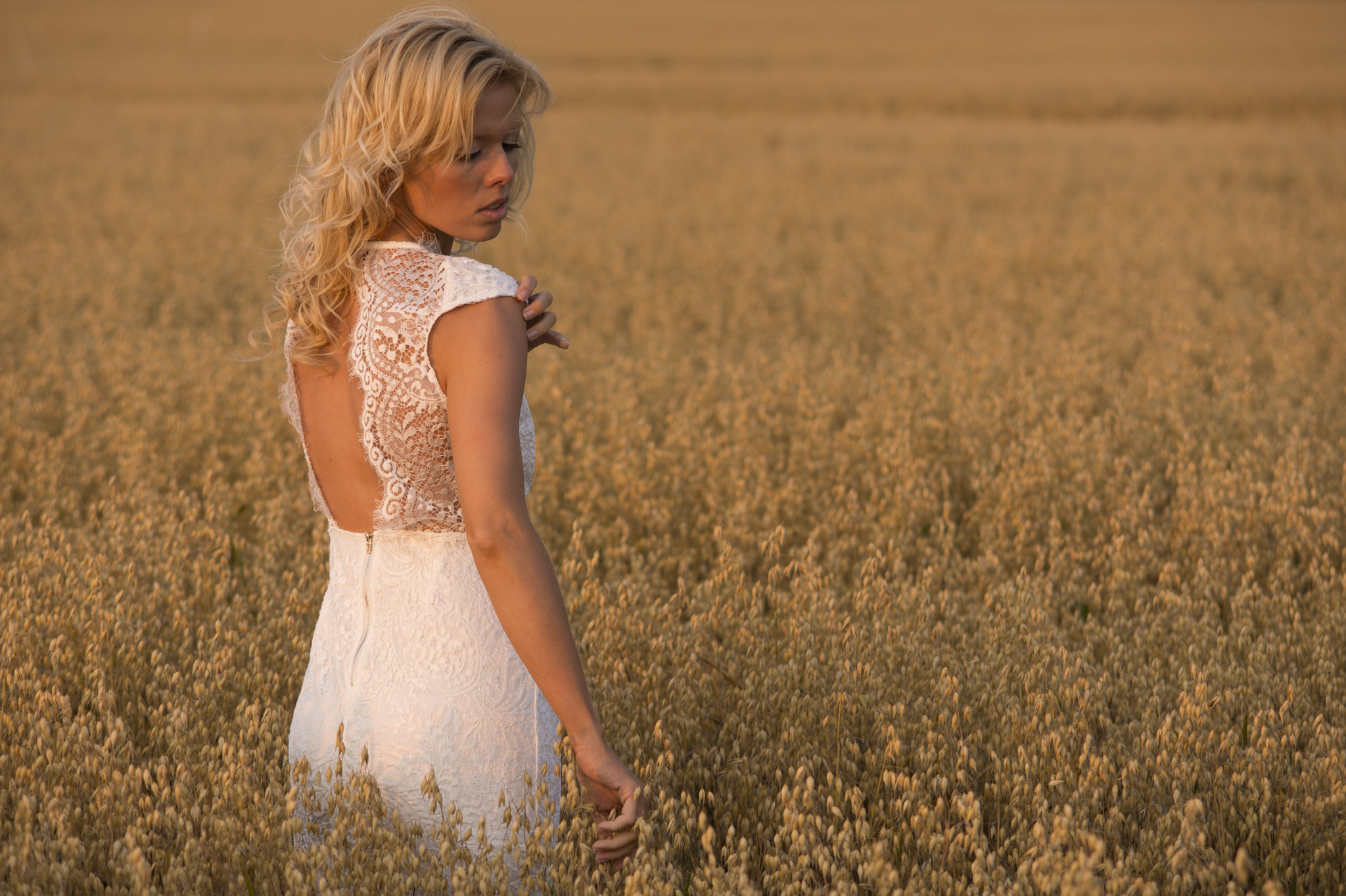 Sigma 50-150mm F2.8 EX APO DC HSM sample photo. Oats field photography