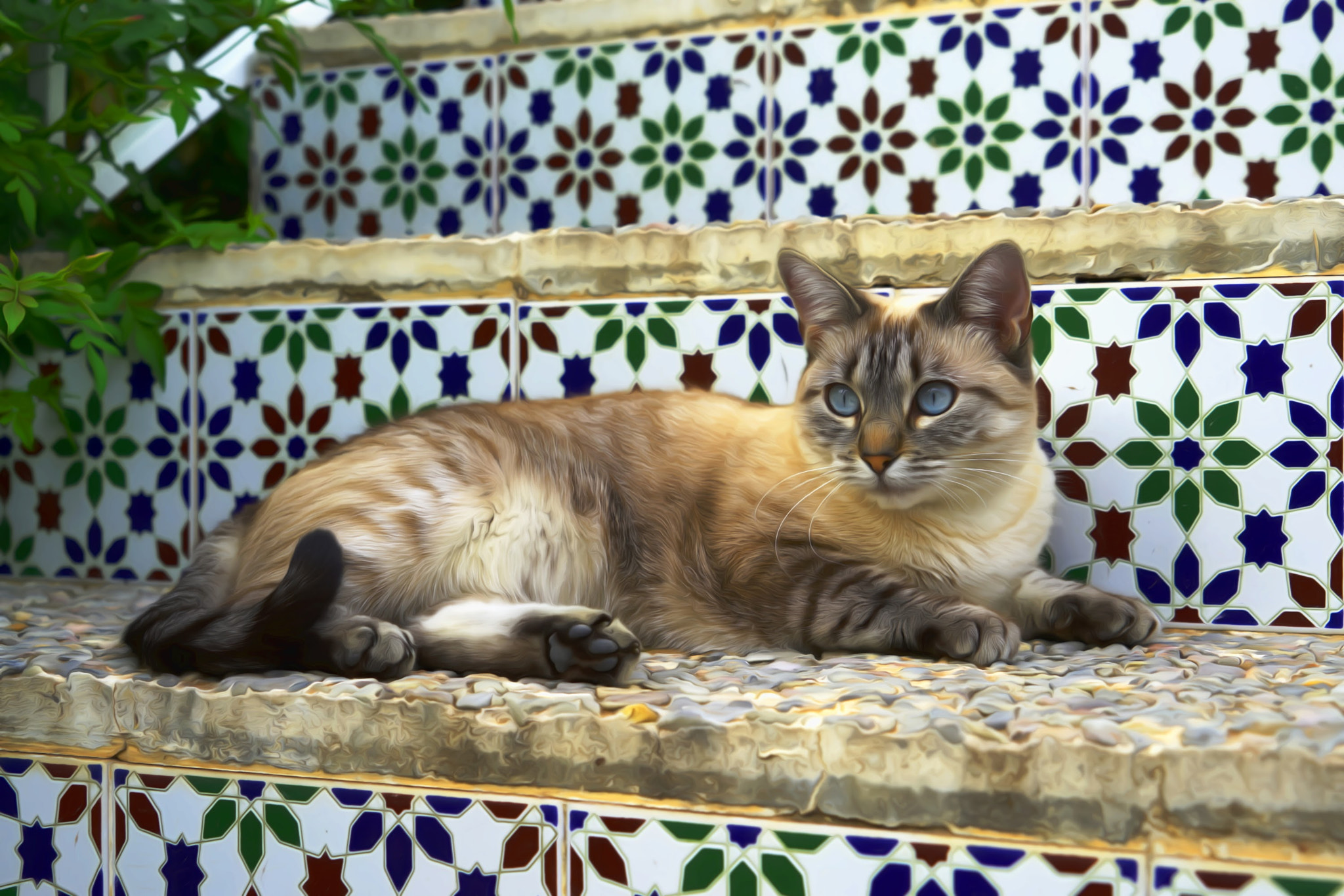 Sony FE 28-70mm F3.5-5.6 OSS sample photo. Cat with dreamsmoothing effect photography