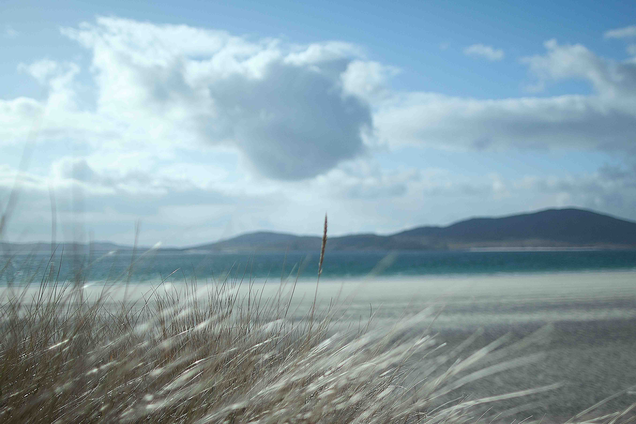 Canon EOS 500D (EOS Rebel T1i / EOS Kiss X3) + Sigma 28mm f/1.8 DG Macro EX sample photo. Luskintyre beach photography