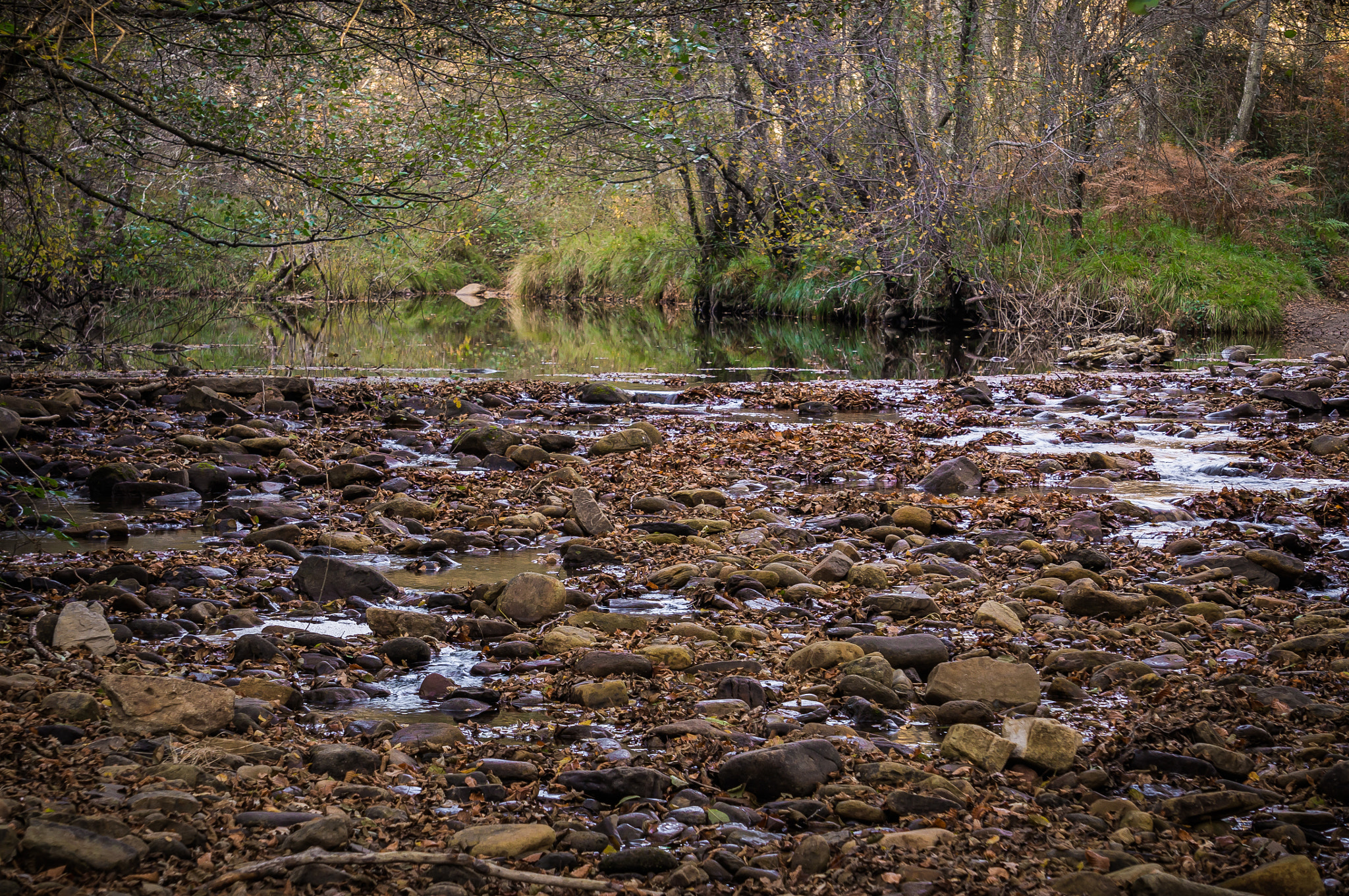 Sony Alpha NEX-F3 + Sony E 55-210mm F4.5-6.3 OSS sample photo. Rio bayas. gorbeia photography