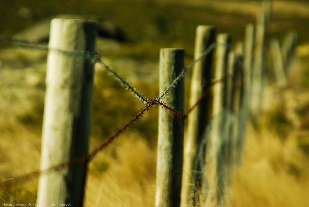 Sigma 28-200mm F3.5-5.6 Compact Aspherical Hyperzoom Macro sample photo. X photography