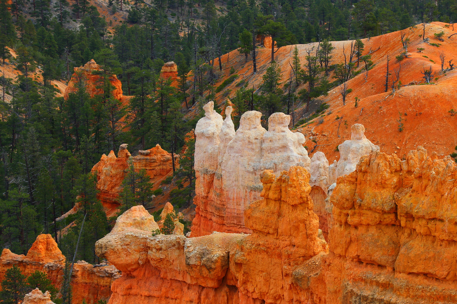 Canon EF 28-300mm F3.5-5.6L IS USM sample photo. Bryce canyon photography