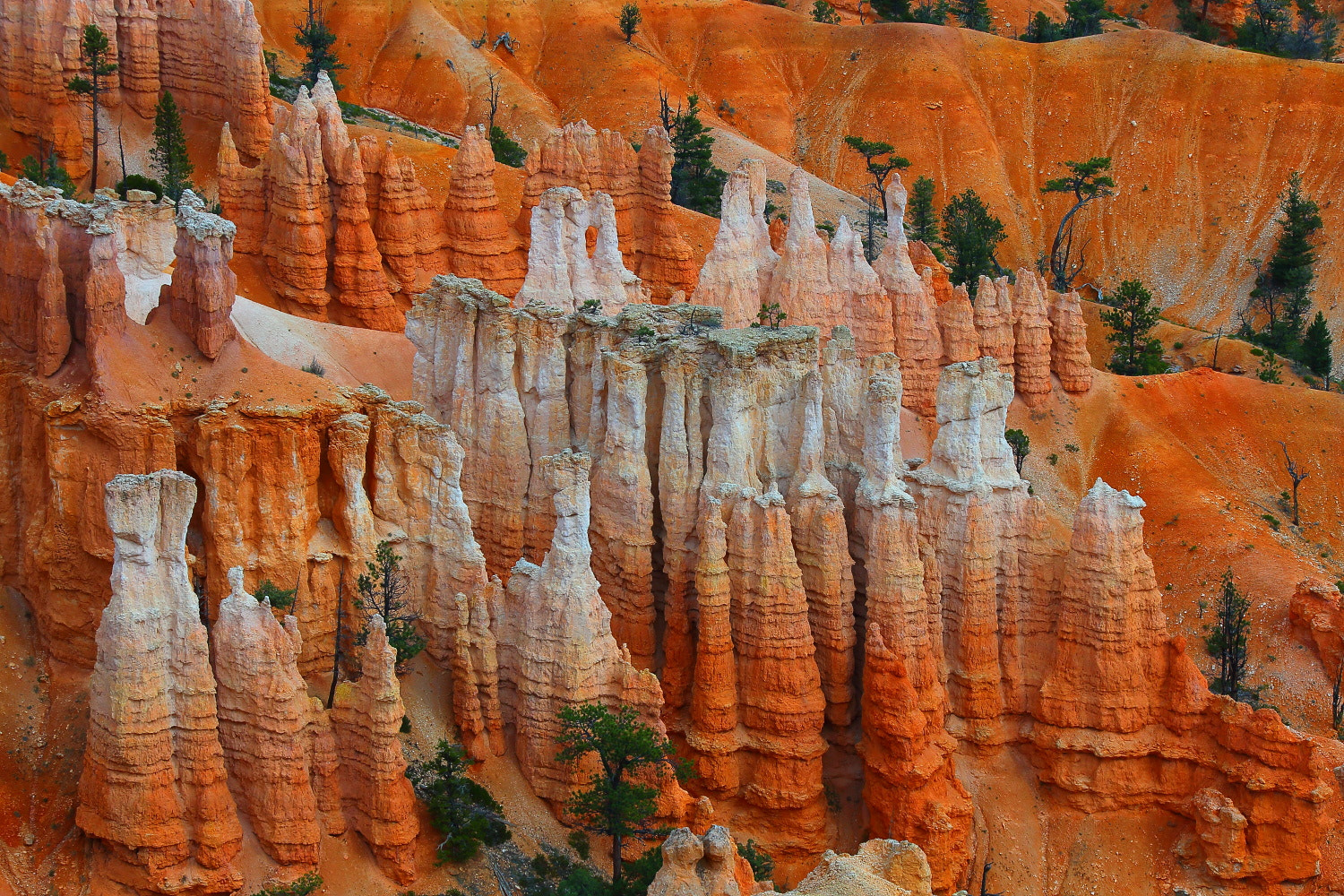 Canon EF 28-300mm F3.5-5.6L IS USM sample photo. Bryce canyon photography