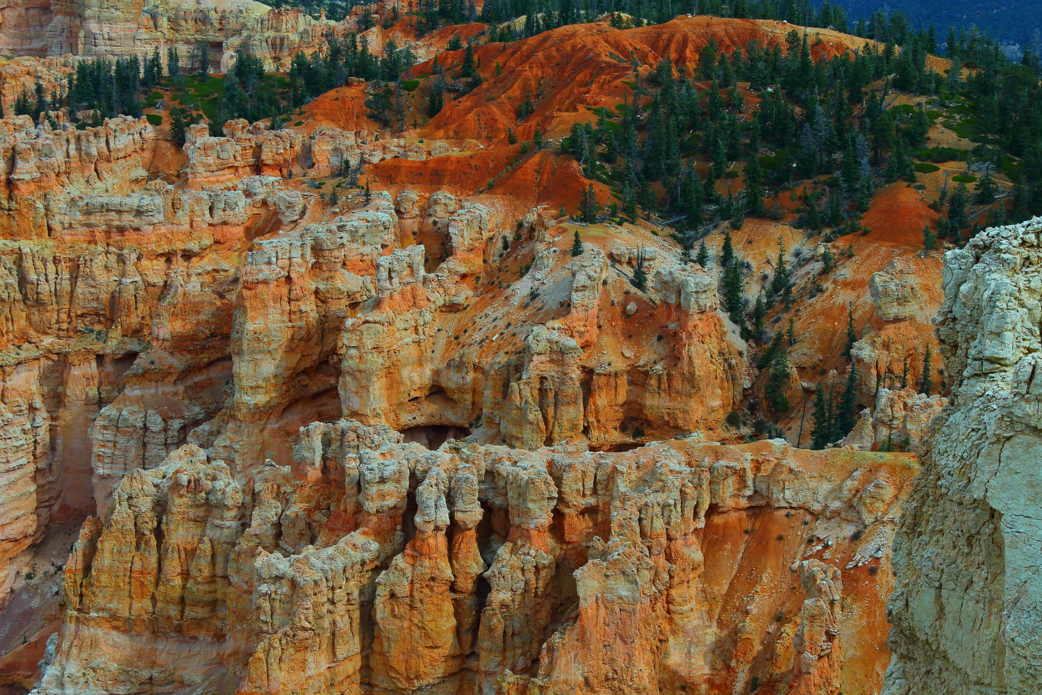 Canon EOS-1D X + Canon EF 28-300mm F3.5-5.6L IS USM sample photo. Bryce canyon photography