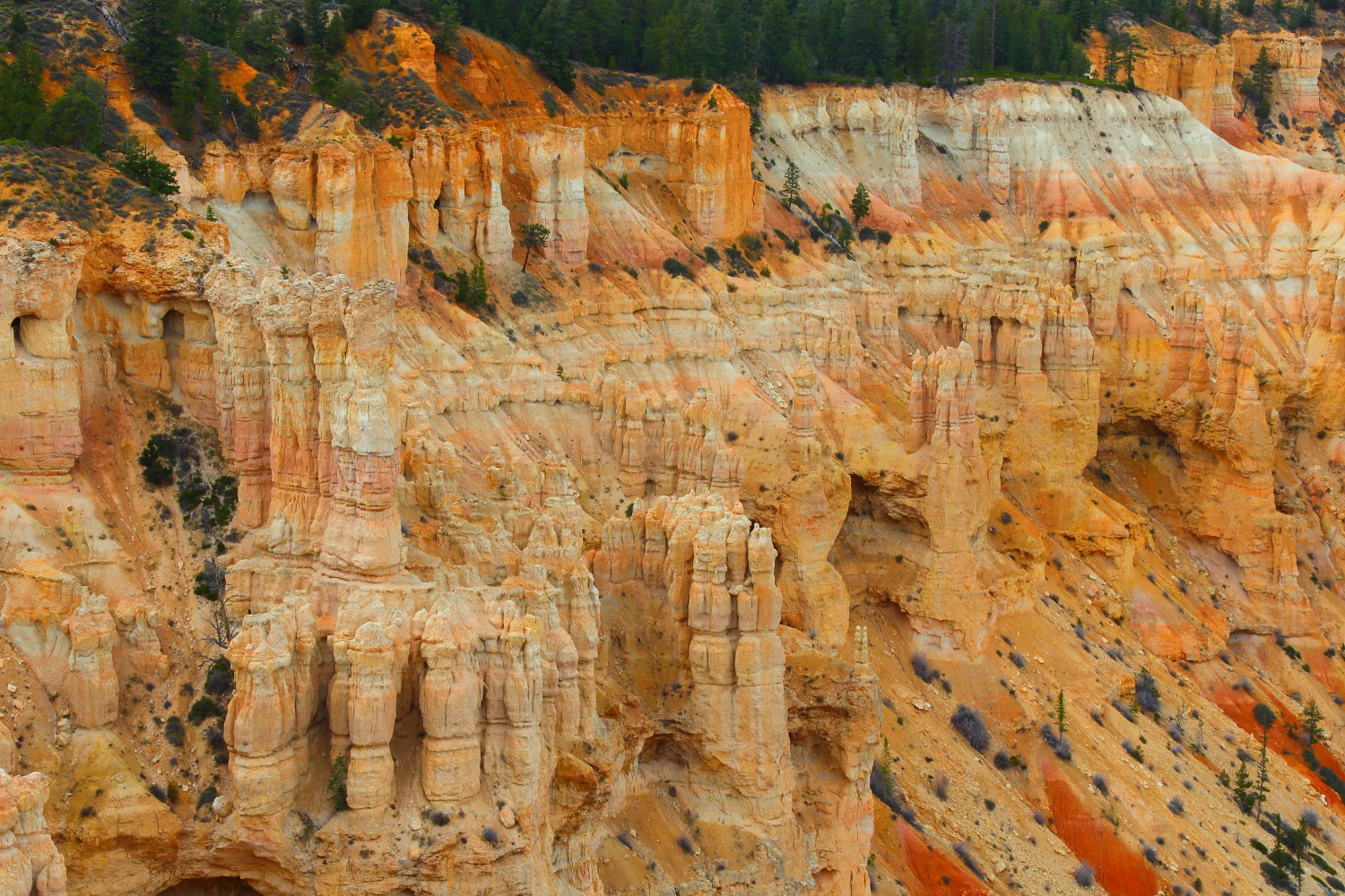 Canon EOS-1D X + Canon EF 28-300mm F3.5-5.6L IS USM sample photo. Bryce canyon photography