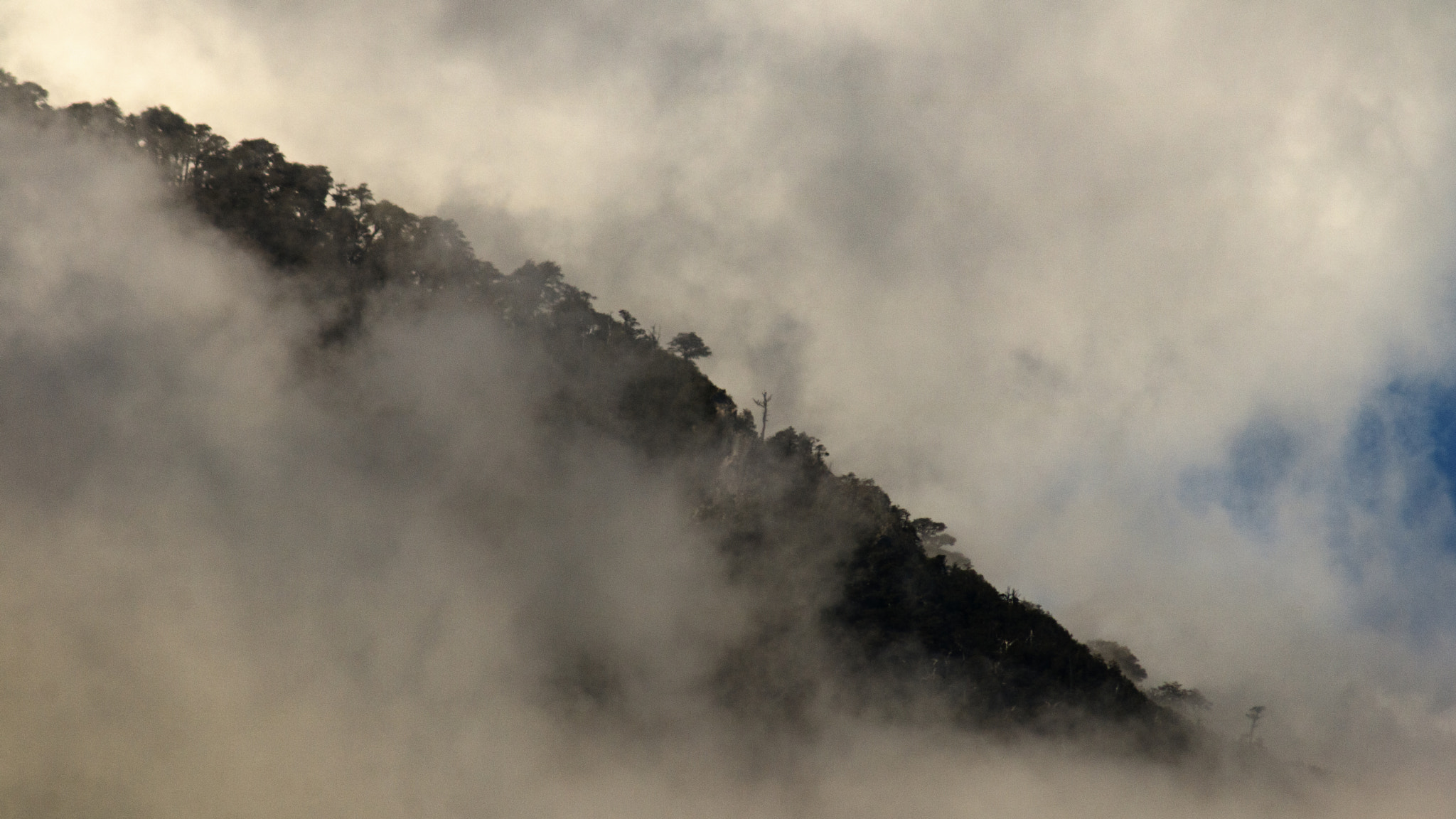 Canon EF 75-300mm F4.0-5.6 IS USM sample photo. 2015 otoño, invierno, primavera photography