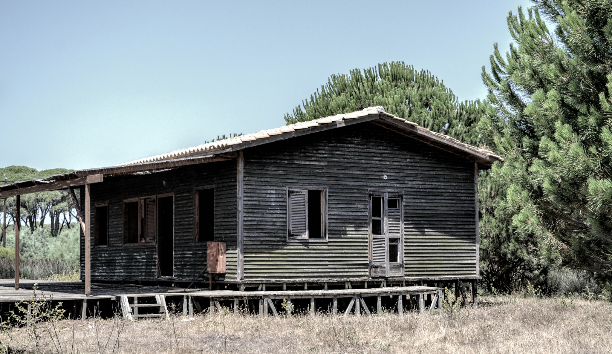 Nikon AF-S Nikkor 500mm F4D ED-IF II sample photo. Abandoned wooden house photography