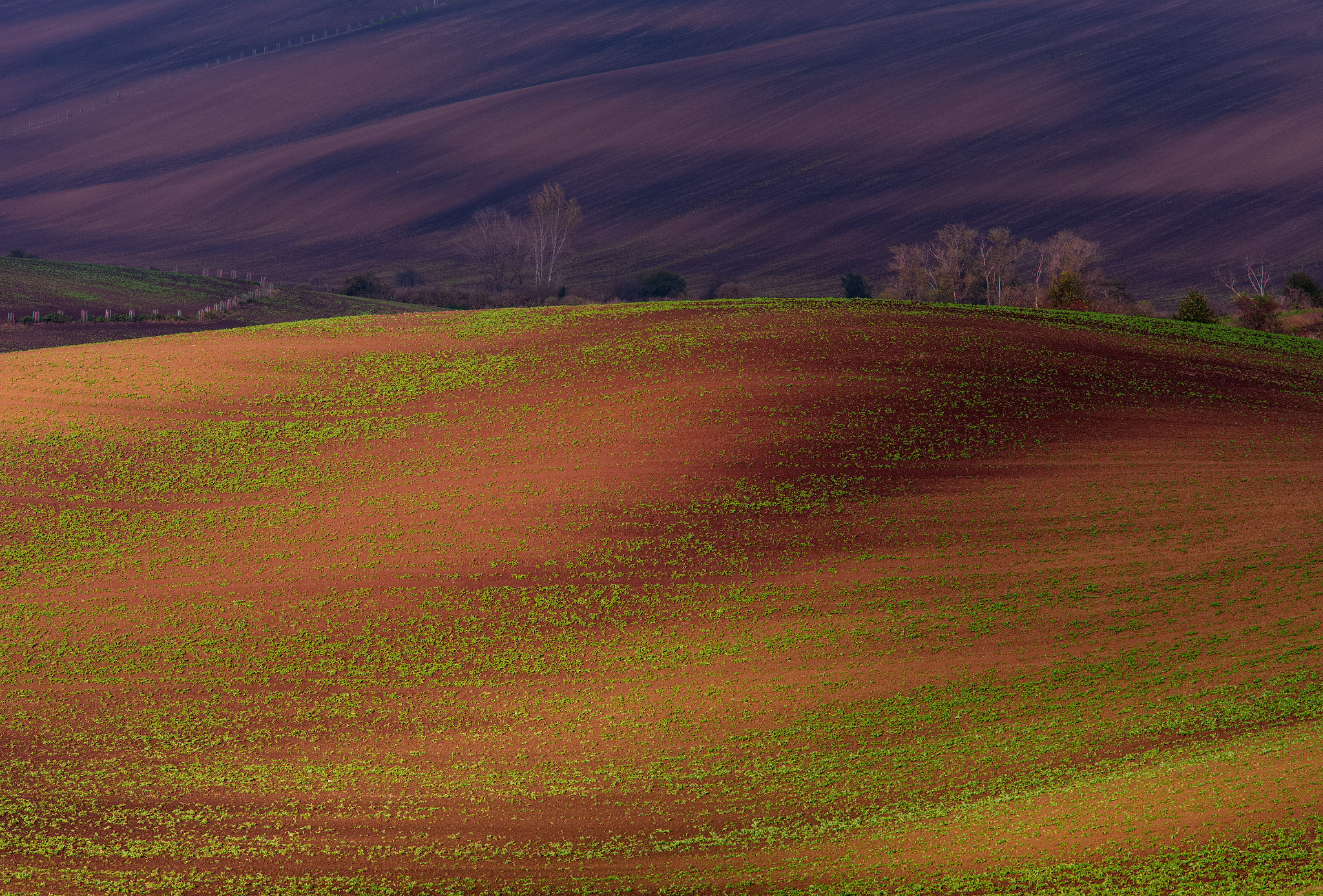 Hasselblad H4D sample photo. Colors moravia photography