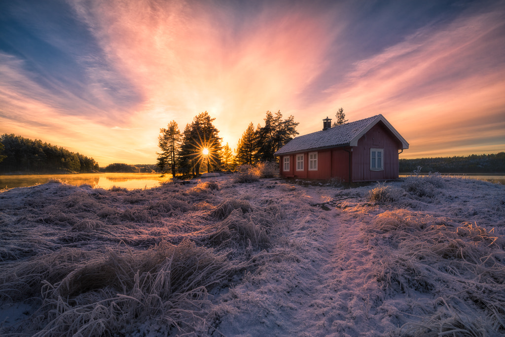 Sony a7R + Canon EF 16-35mm F4L IS USM sample photo. A new season photography