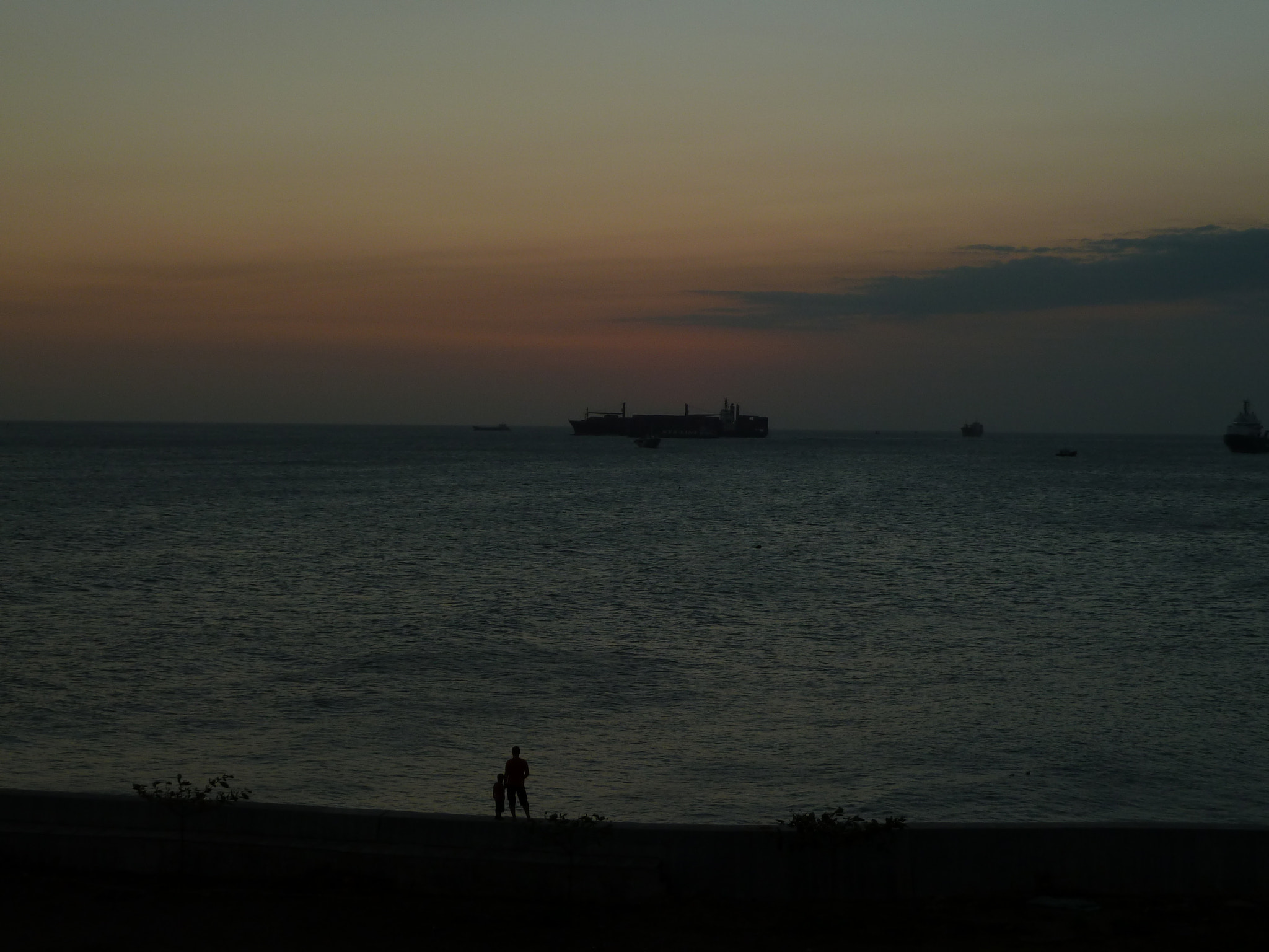 Panasonic DMC-ZS6 sample photo. Father and son watching... photography