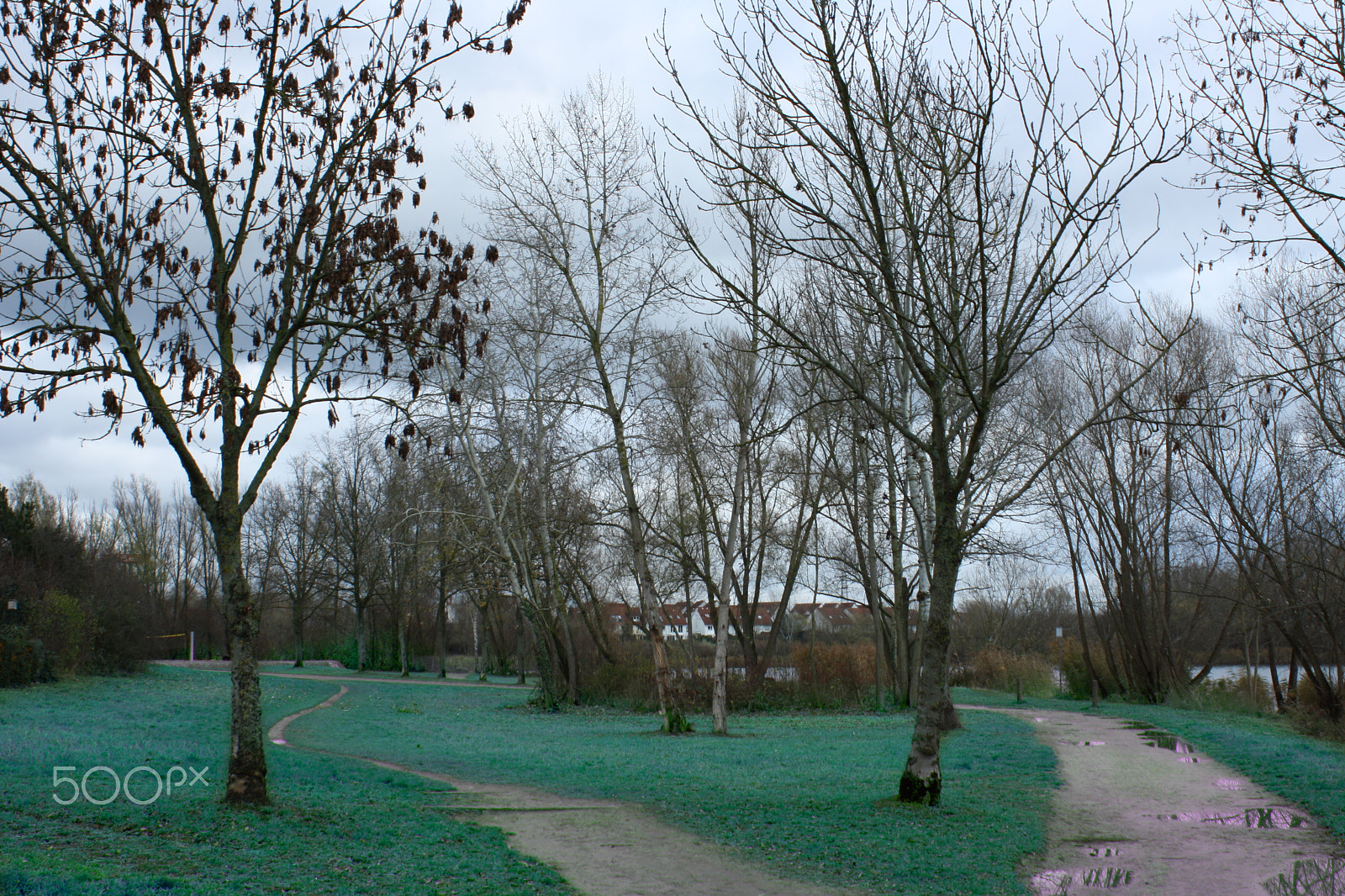 Canon EF 28-80mm f/3.5-5.6 sample photo. Park in winter photography