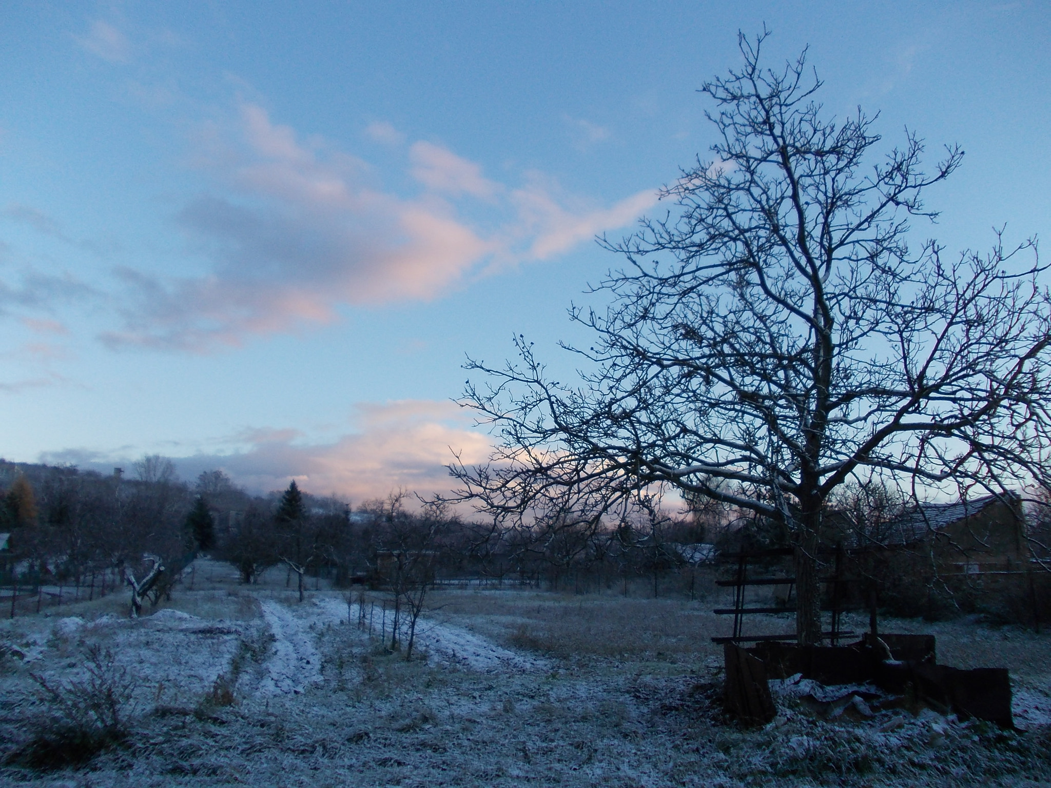 Nikon COOLPIX L23 sample photo. Winter is near photography