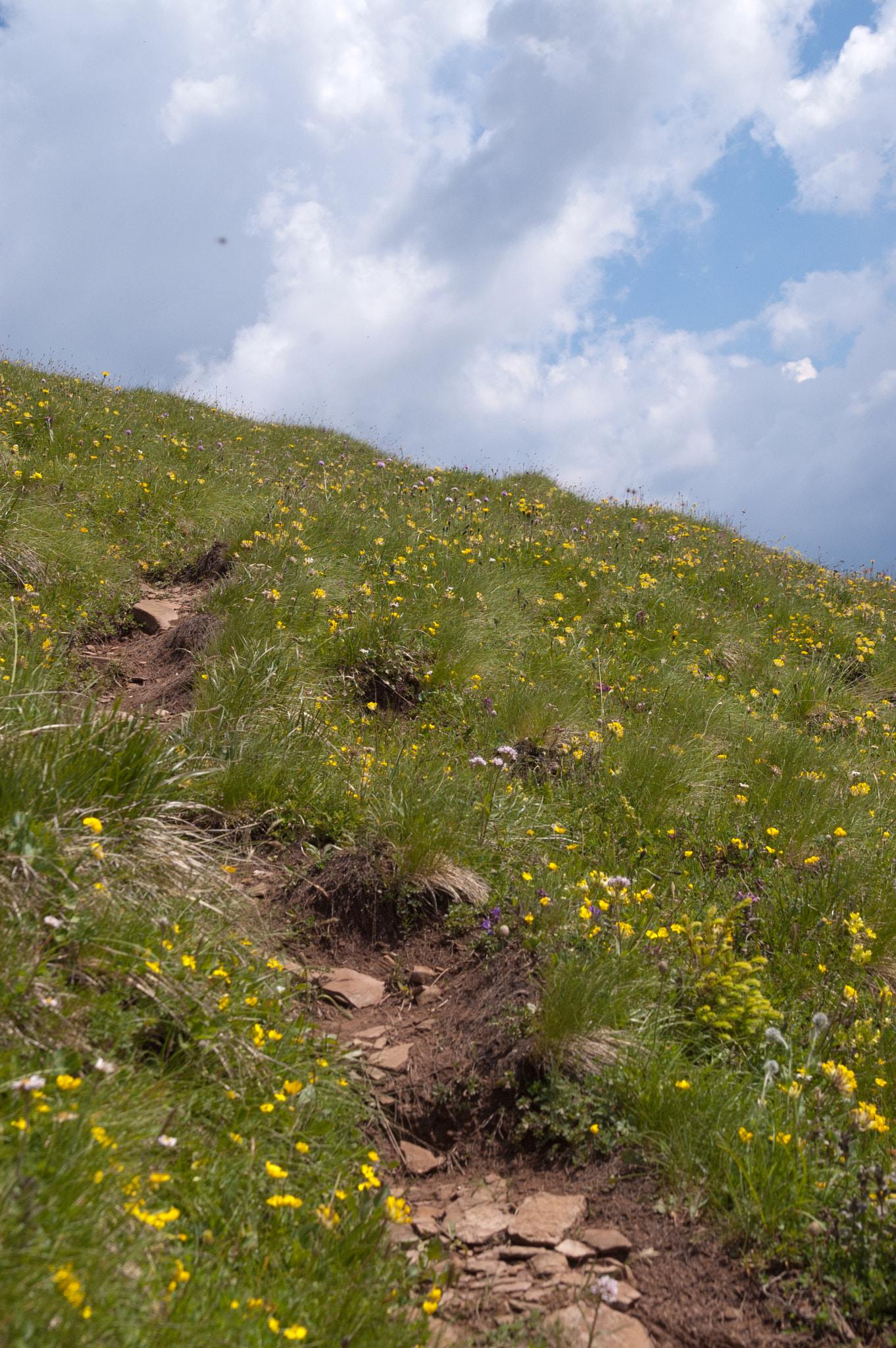 Sigma 17-70mm F2.8-4.5 DC Macro Asp. IF sample photo. The path to the unknown photography