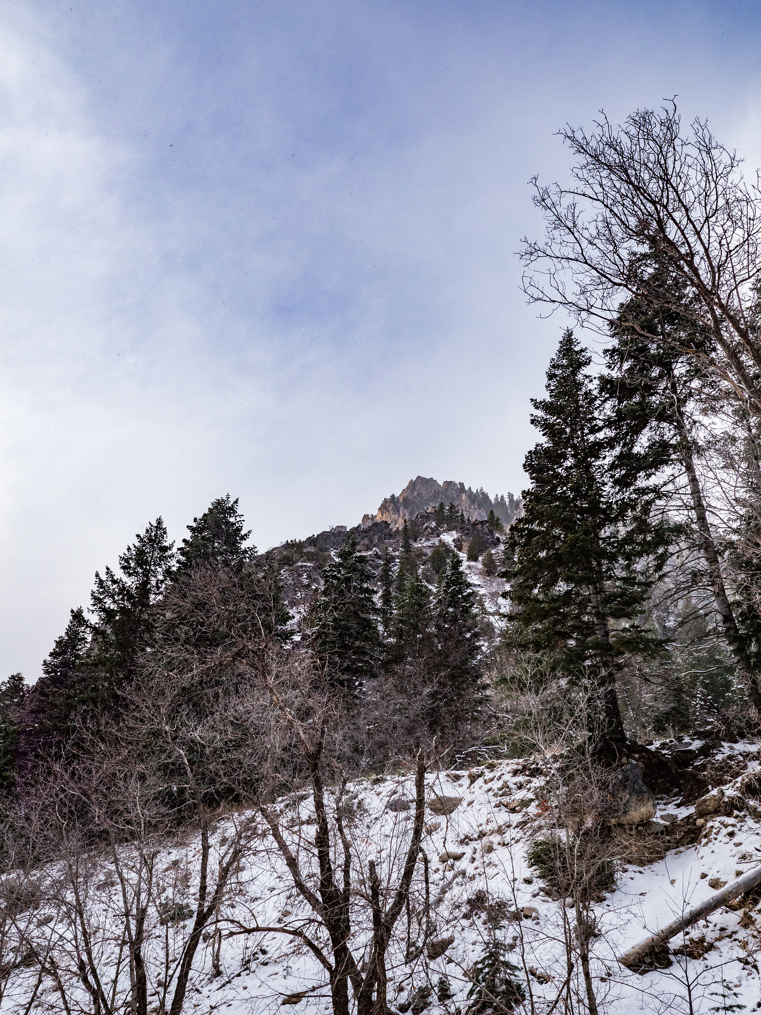 Panasonic Lumix DMC-GX8 + LEICA DG SUMMILUX 15/F1.7 sample photo. Ride up to snowbird photography