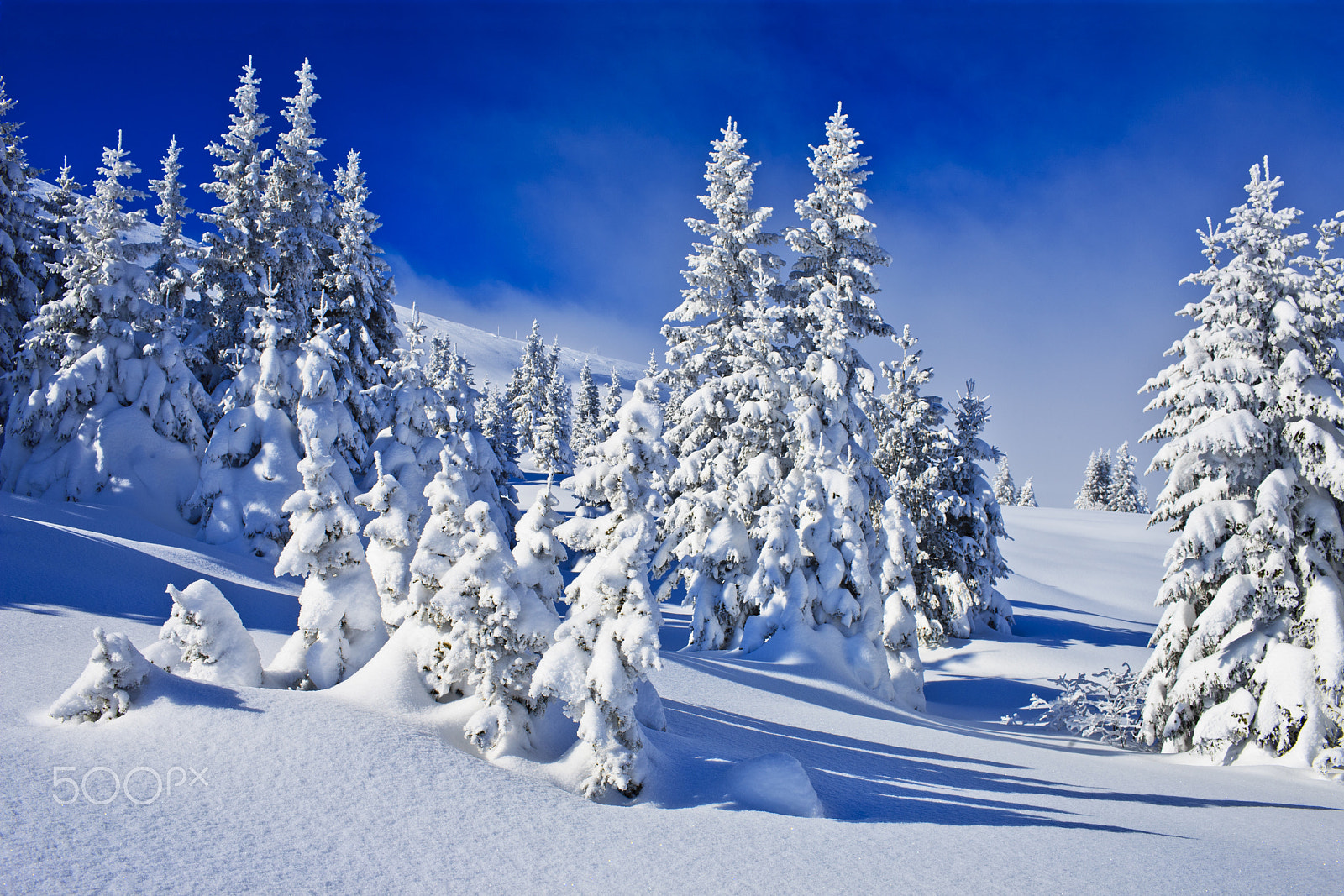 Canon EF 35mm F1.4L USM sample photo. Deep snow photography