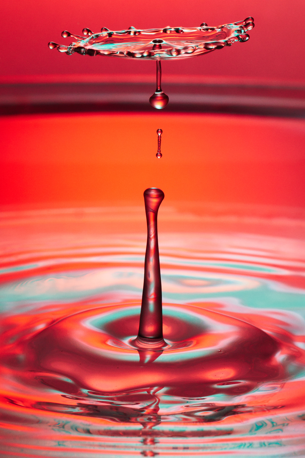 90mm F2.8 sample photo. Red splash photography