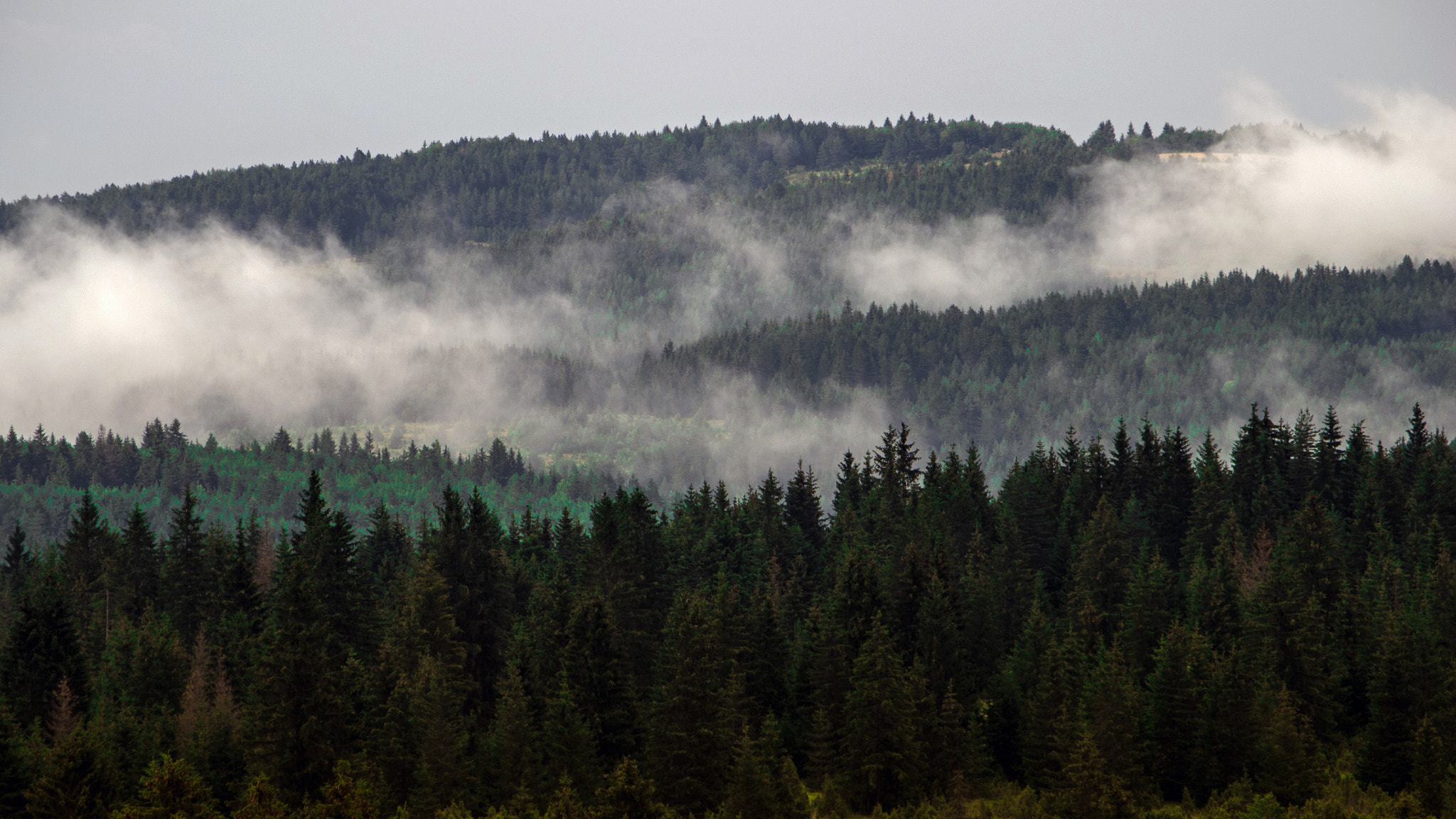 Pentax K-500 + Pentax smc DA 50-200mm F4-5.6 ED sample photo. Foggy forest in the mountains photography