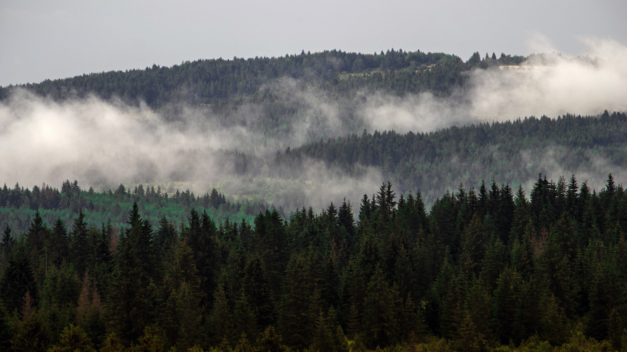 Pentax smc DA 50-200mm F4-5.6 ED sample photo. Foggy forest in the mountains photography
