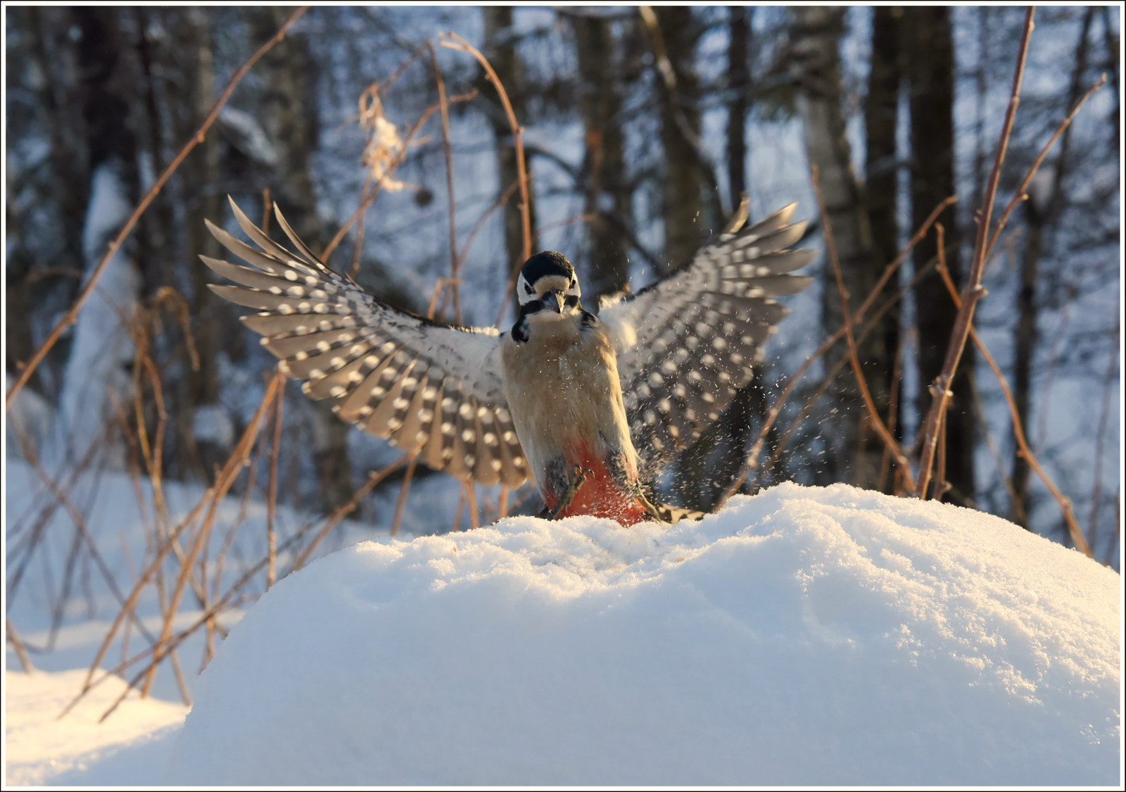 AF Zoom-Nikkor 24-50mm f/3.3-4.5D sample photo. Привет!..( hi!..)) photography