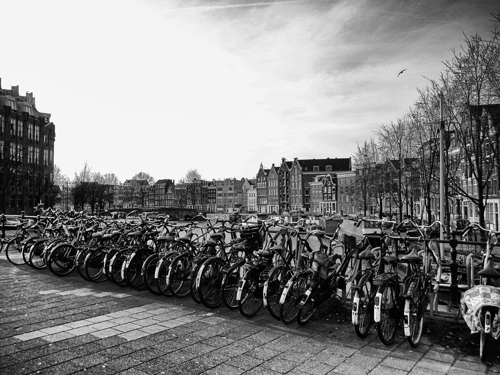 Fujifilm FinePix XP60 sample photo. Amsterdam photography