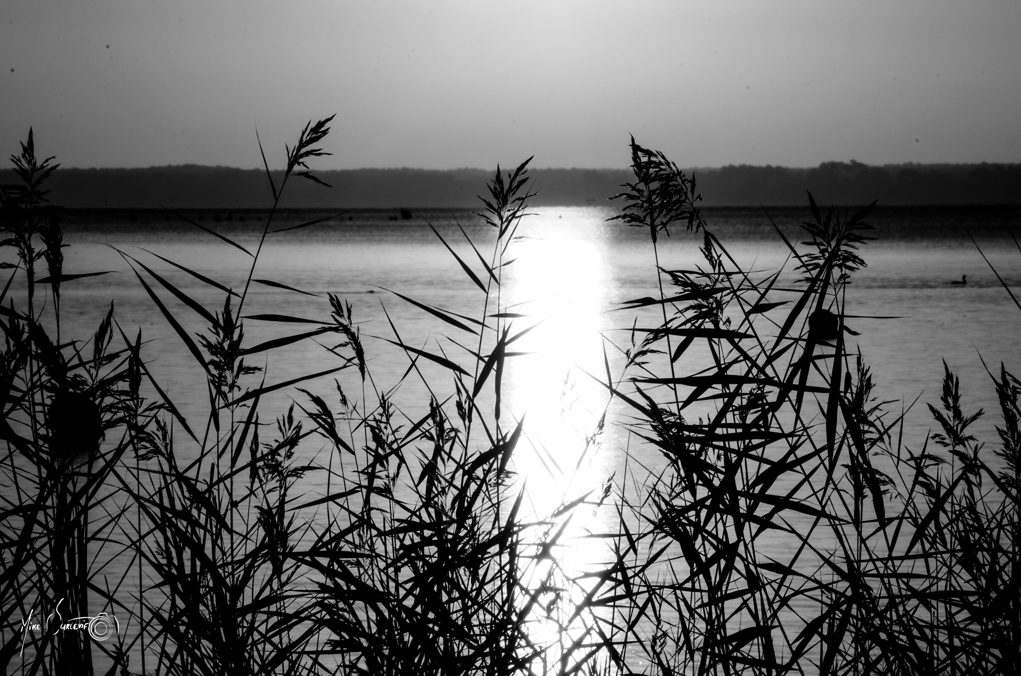 Pentax K-5 II sample photo. Contre jour photography