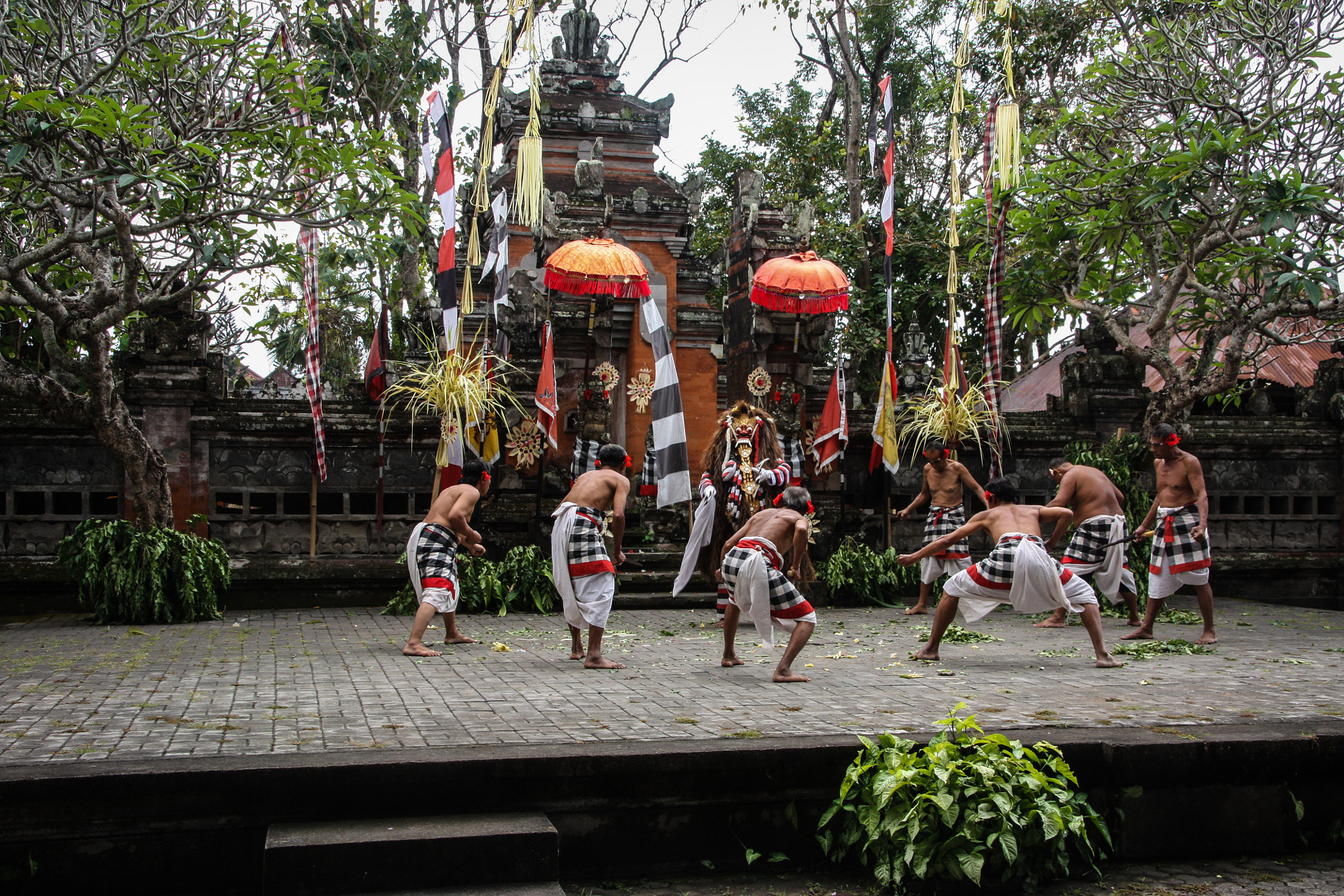 Sigma 18-250mm F3.5-6.3 DC OS HSM sample photo. Pemaksan barong batu bulan gianyar bali photography