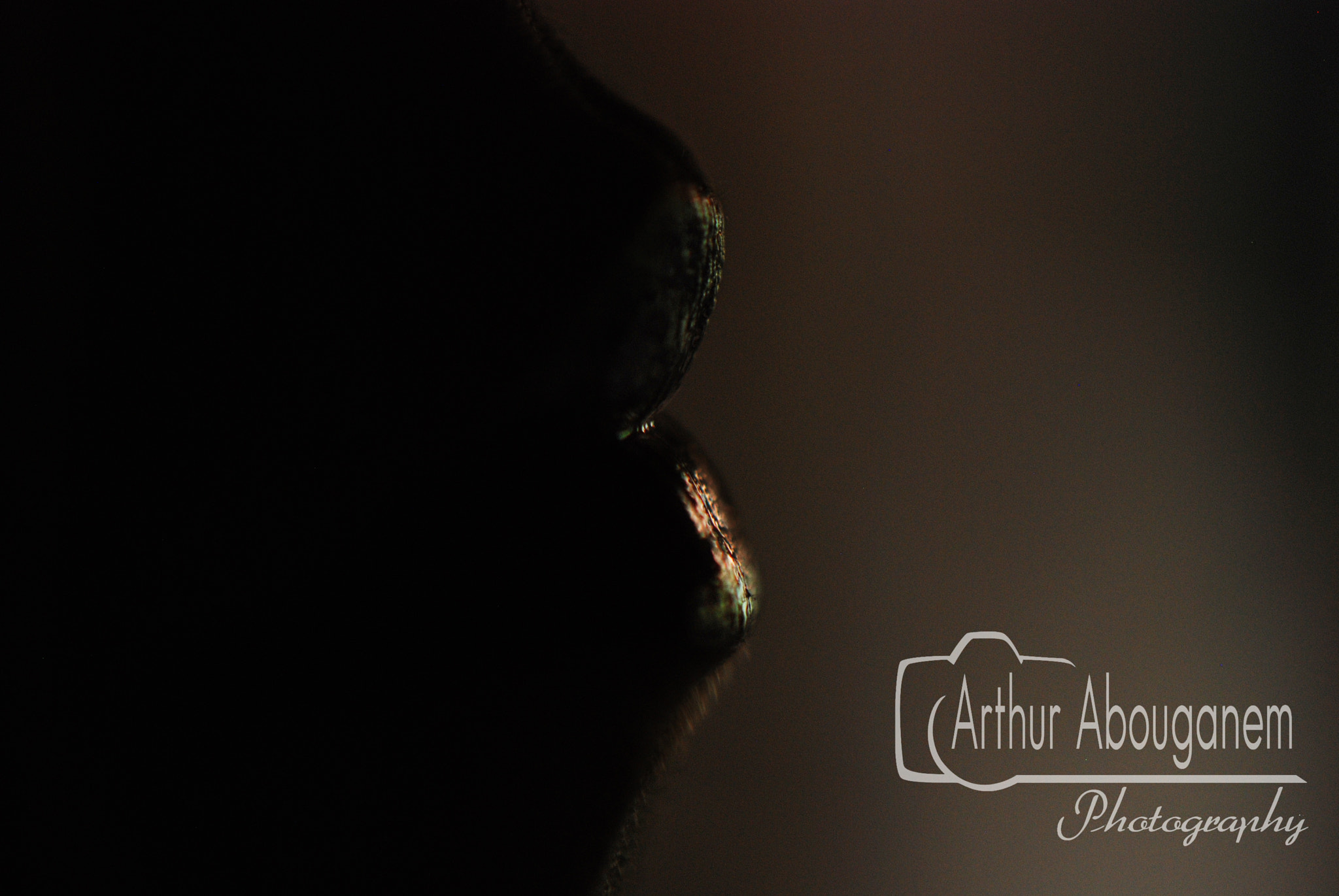 Nikon AF-S DX Micro-Nikkor 85mm F3.5G ED VR sample photo. Whispers before the kiss photography