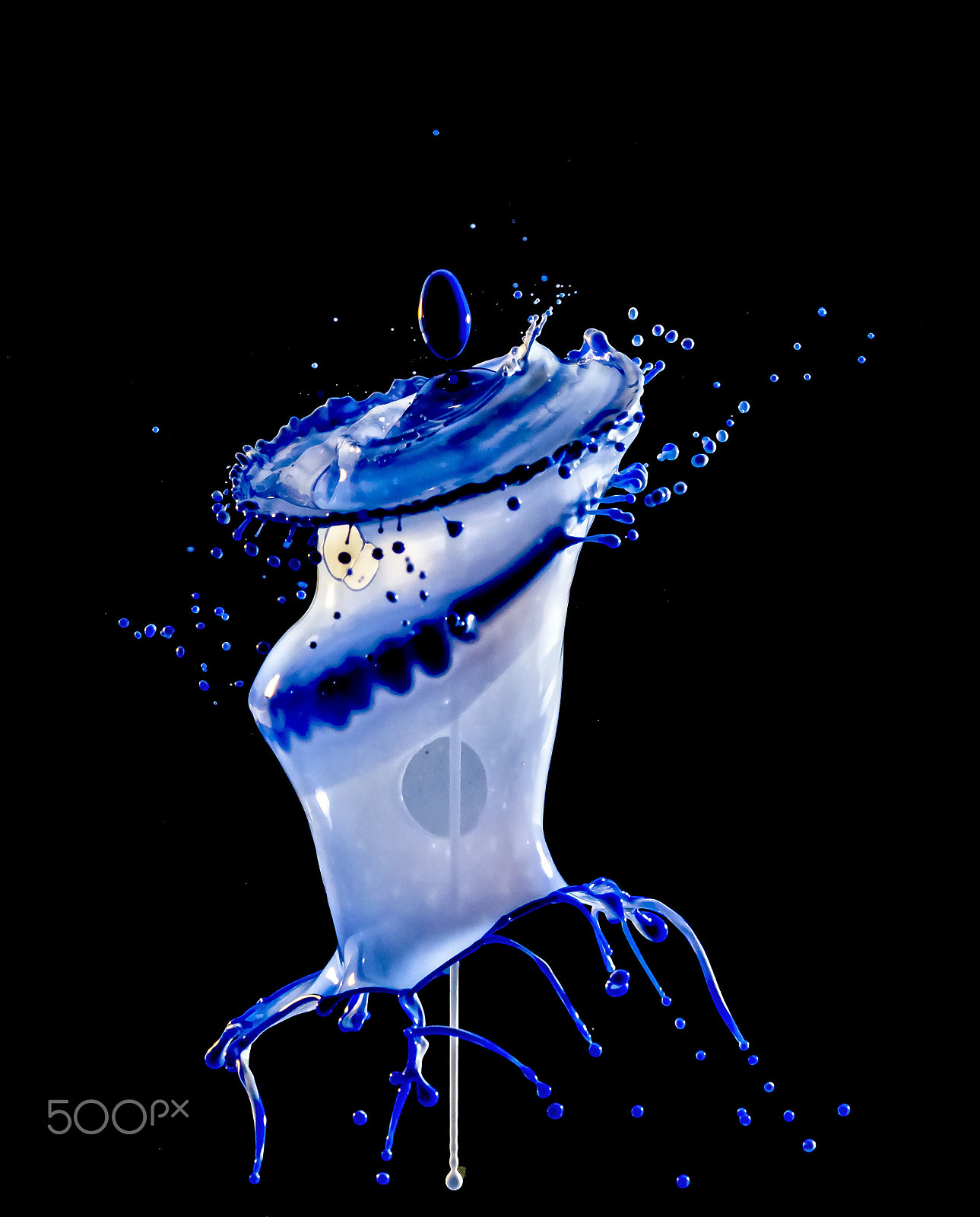 Canon EF 100mm F2.8 Macro USM sample photo. Blue & white impact photography