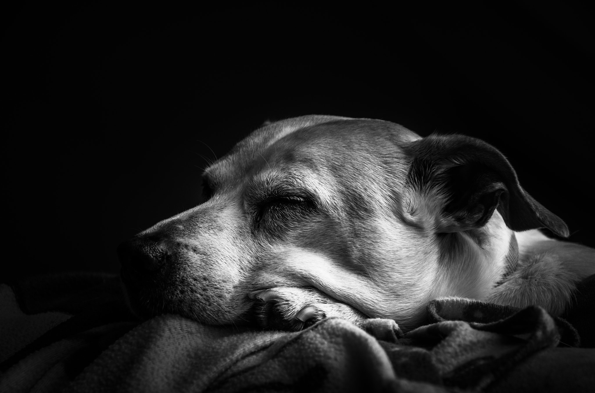Sigma 18-125mm F3.8-5.6 DC OS HSM sample photo. Homer photography