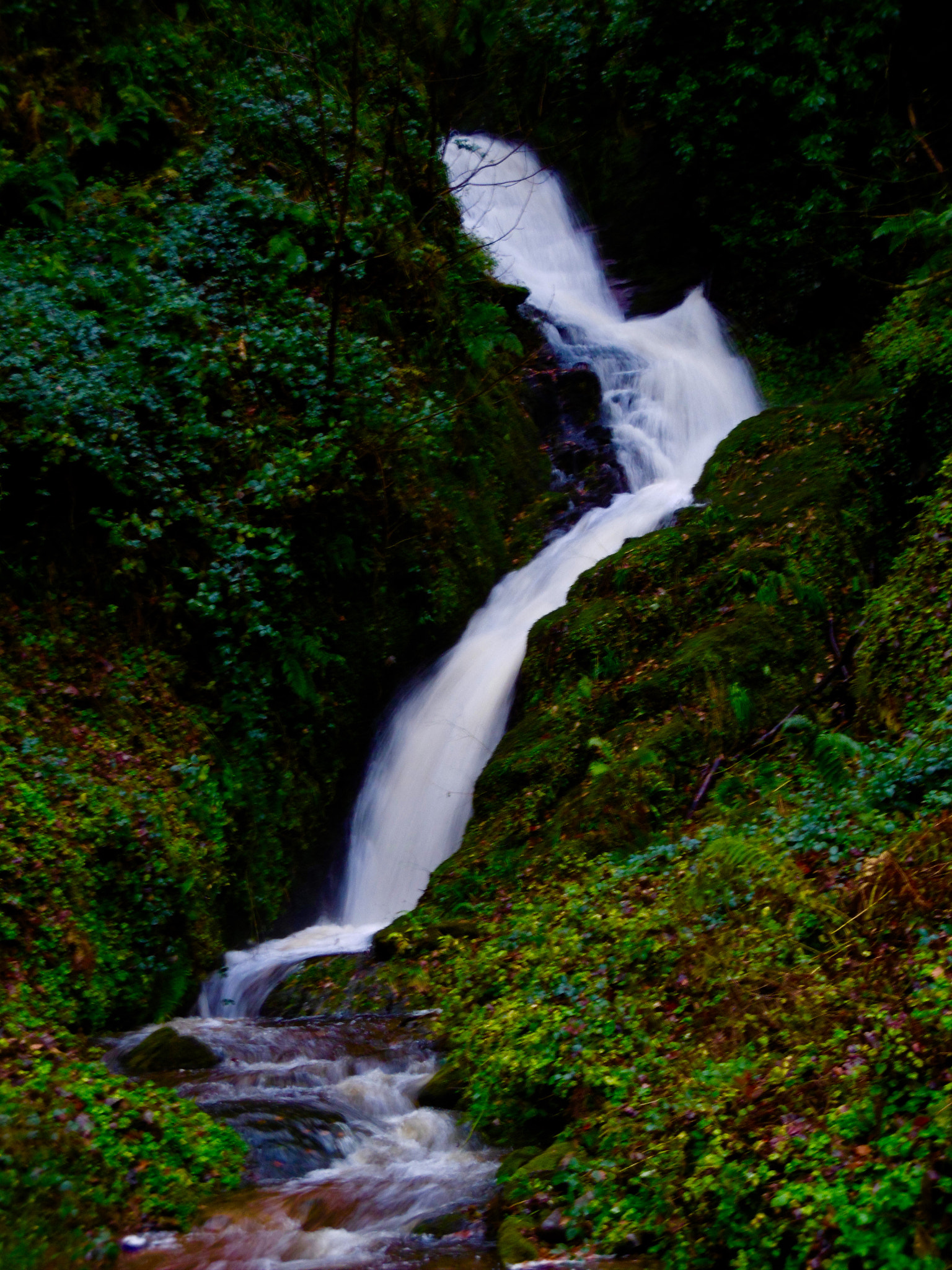Panasonic DMC-SZ8 sample photo. Whiskey waterfall photography