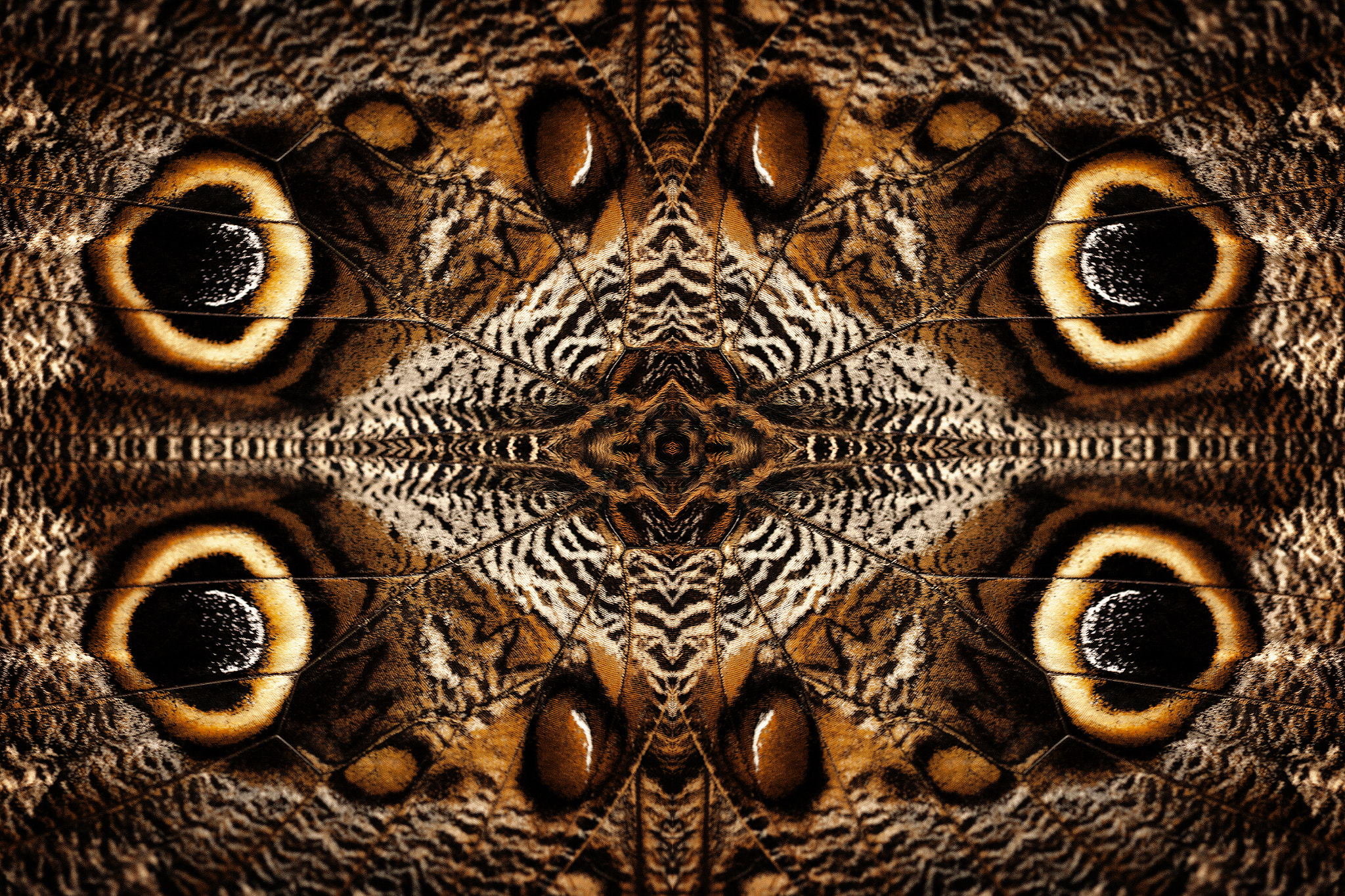 Canon EOS-1D Mark III sample photo. Abstract nature photography