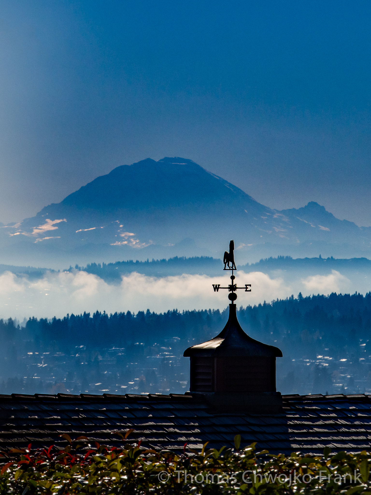 Panasonic Lumix G X Vario 35-100mm F2.8 OIS sample photo. Weather vane photography