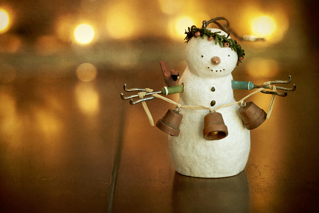 Canon EF 100mm F2.8 Macro USM sample photo. Holly jolly photography