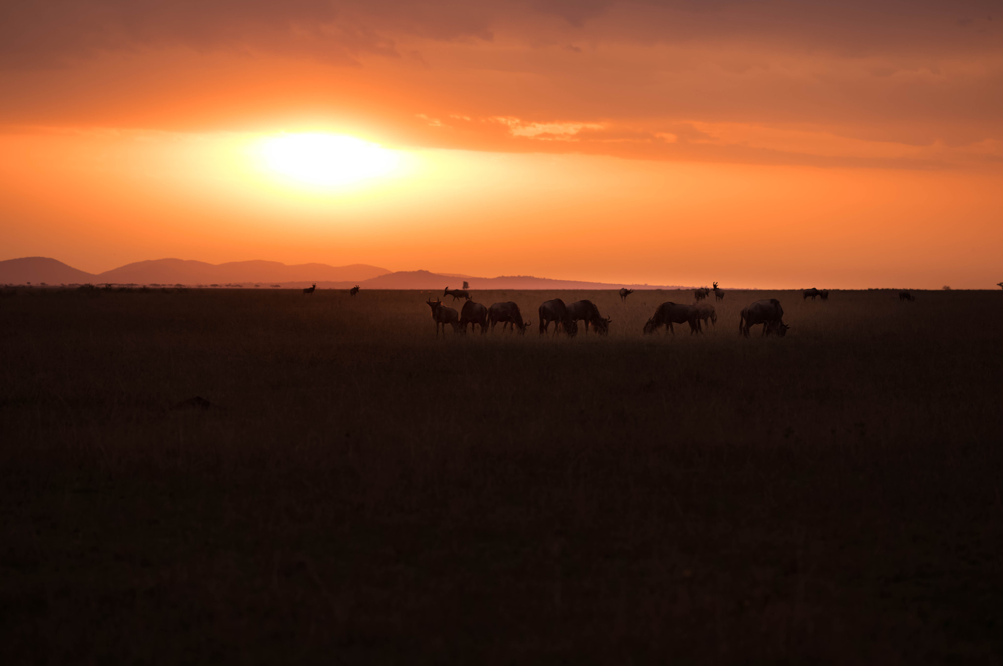 Apo-Elmar-S 180 sample photo. Sunset plains photography