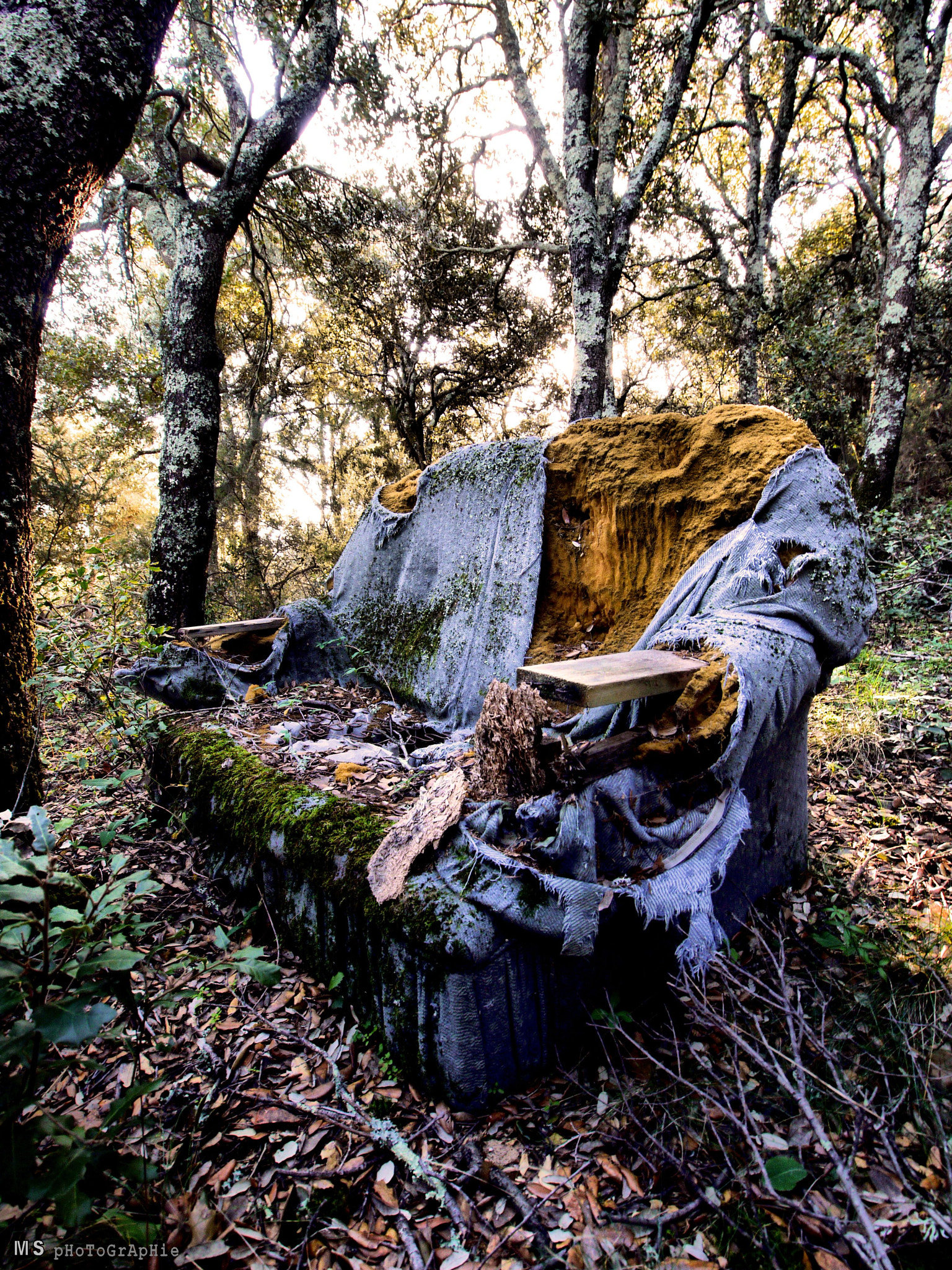 Decayed armchair