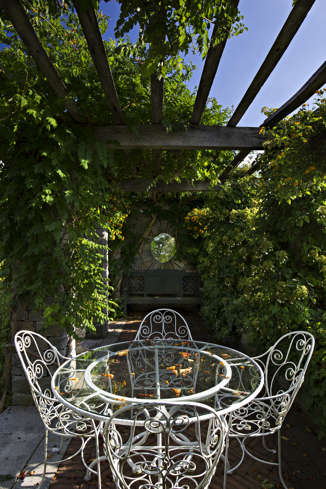 Canon EOS-1D Mark IV sample photo. Ct estate summer photography