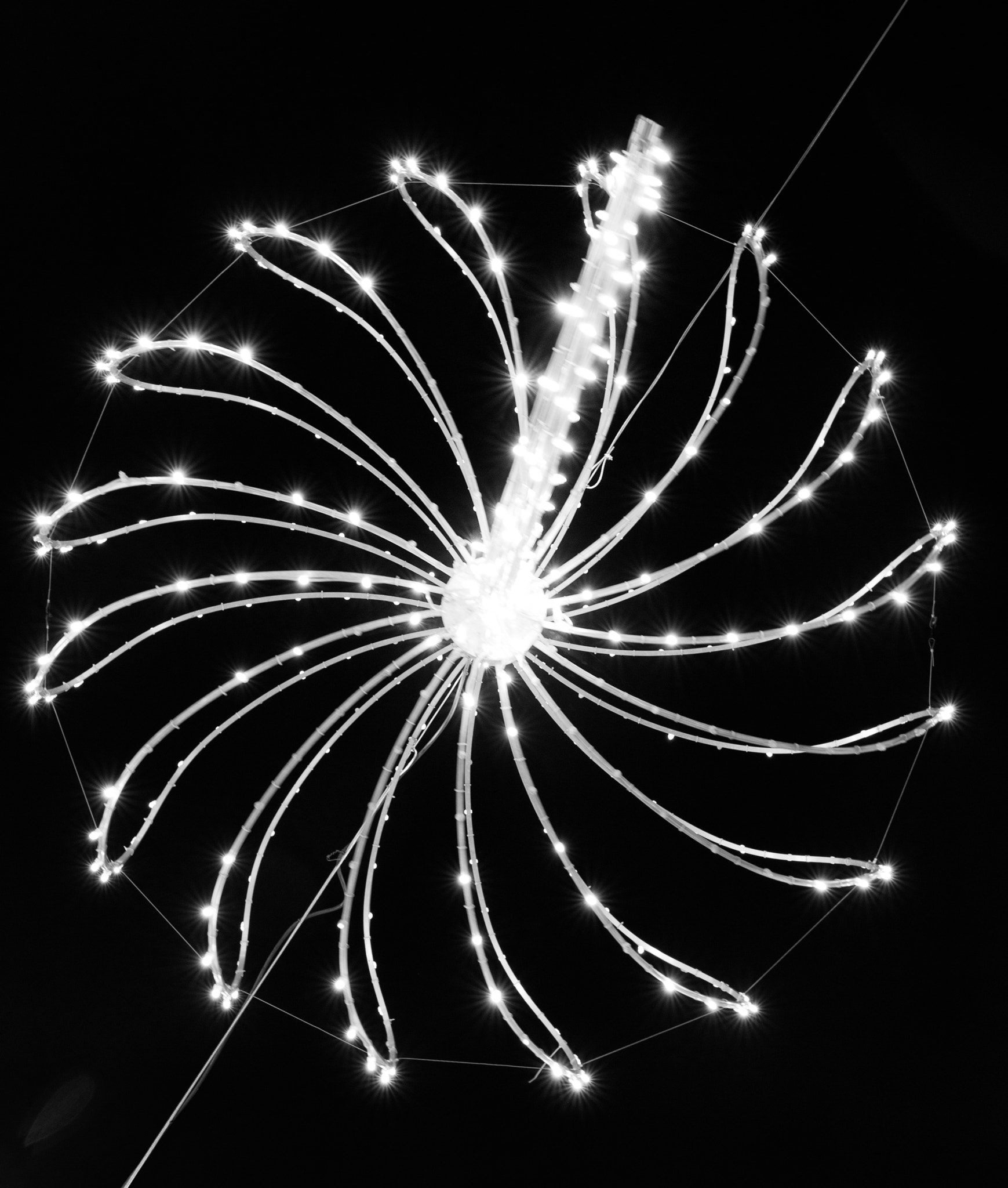 Sigma 18-35mm f/1.8 DC HSM sample photo. Christmas lights photography