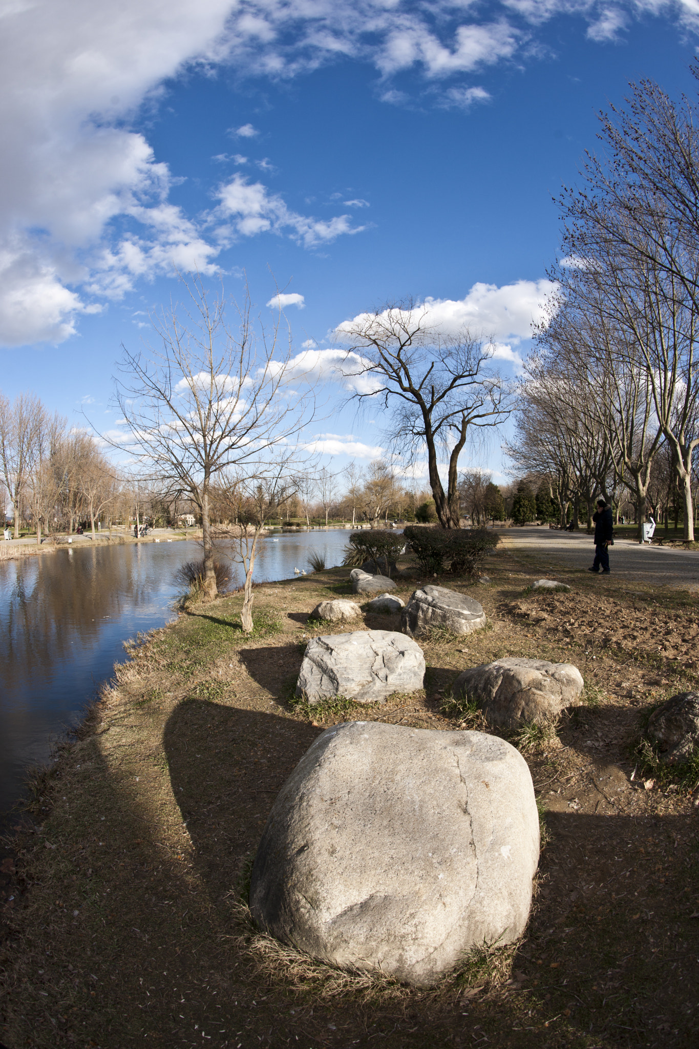 Sony Alpha DSLR-A900 + Sony 16mm F2.8 Fisheye sample photo. Spring is good photography