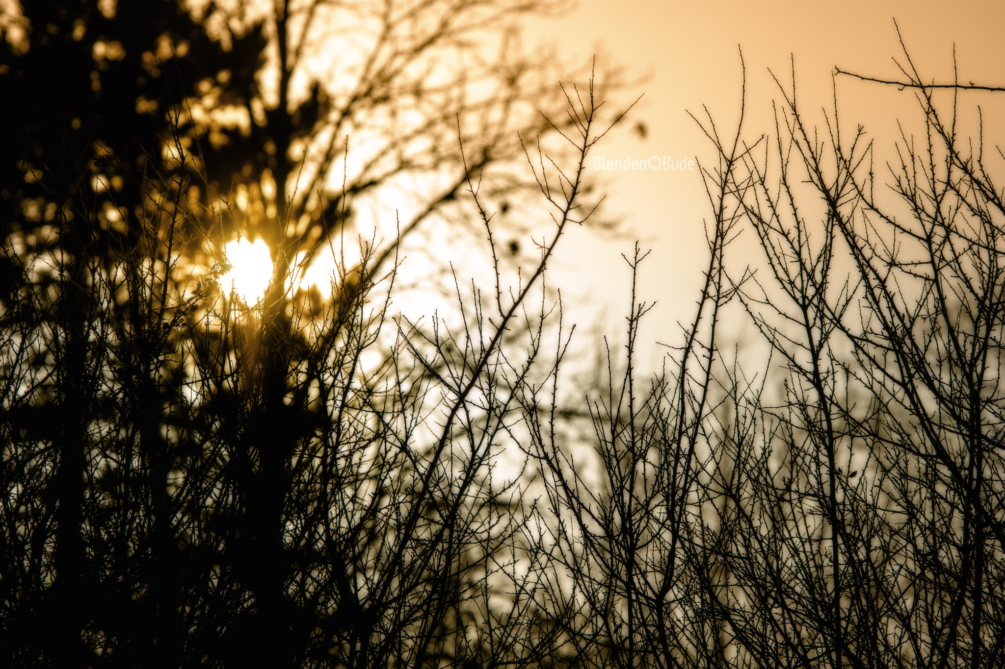 Sony ILCA-77M2 + 70-200mm F2.8 sample photo. Sun & the dark photography