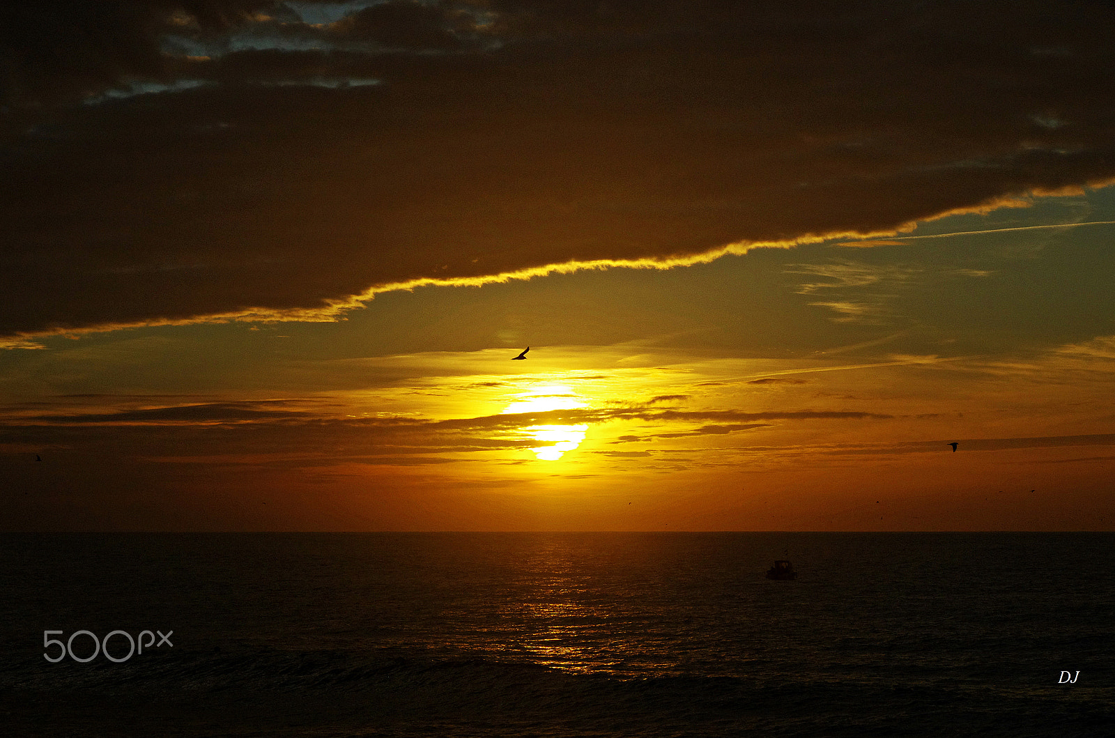 Pentax K-5 sample photo. Waiting for its comes back in our hearts !! photography