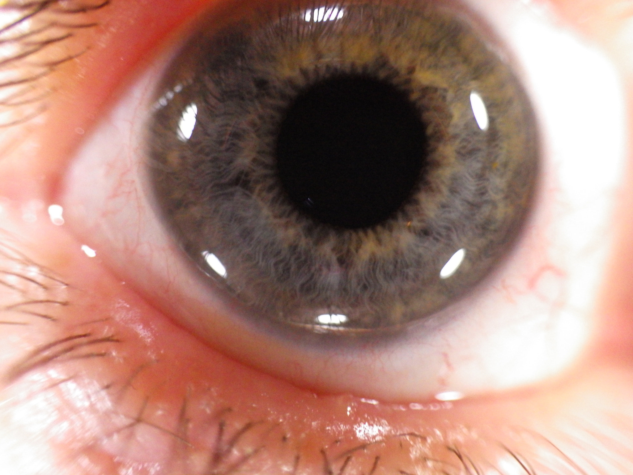 Ricoh WG-4 sample photo. Selfie of a different kind... photography