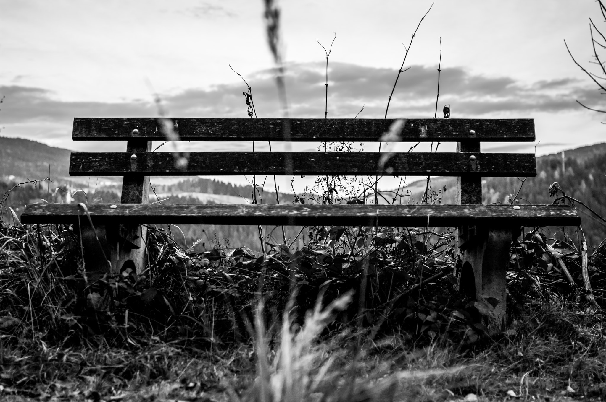 Pentax K20D + Pentax smc DA 35mm F2.4 AL sample photo. Overgrown bench photography