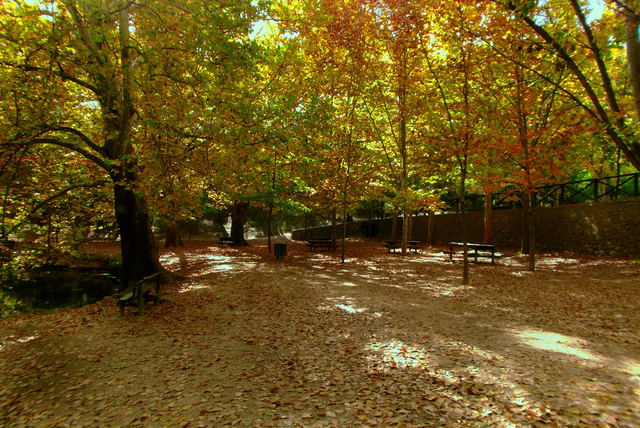 Fujifilm FinePix JX500 sample photo. Parque en calasparra photography