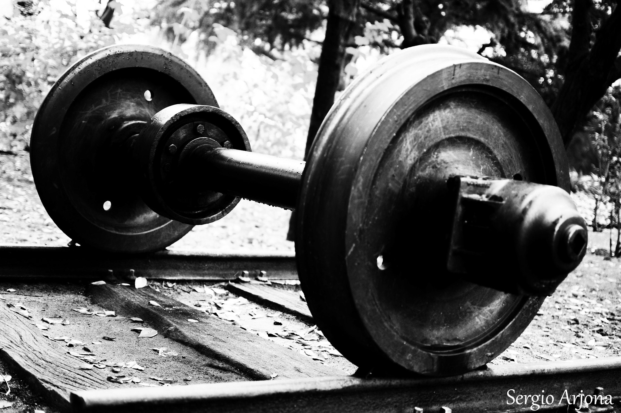 Nikon D50 + Nikon AF-S DX Nikkor 35mm F1.8G sample photo. B&wsobre rail.jpg photography