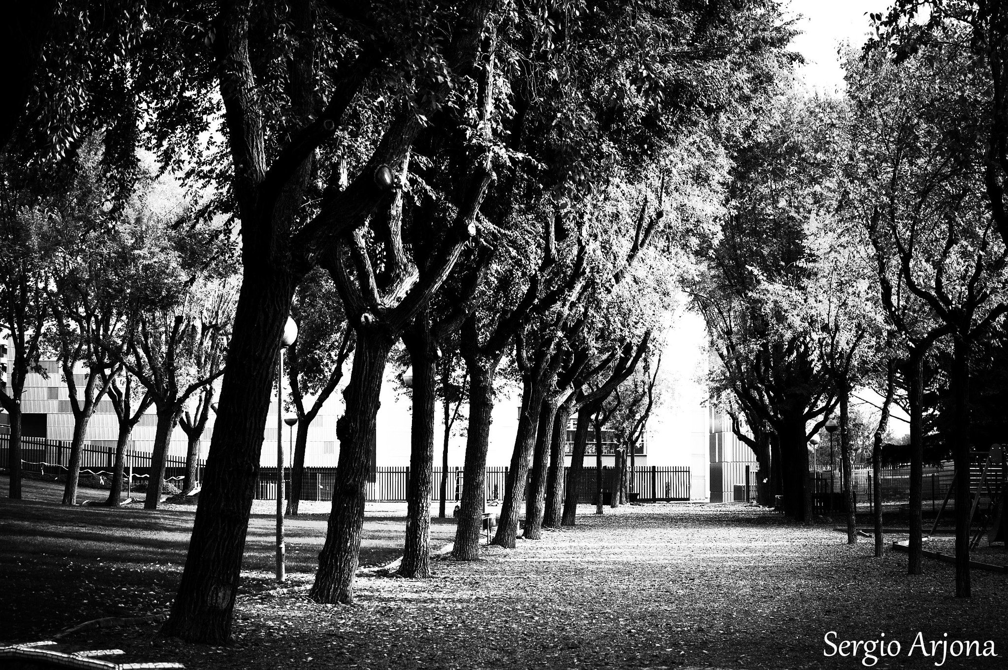 Nikon D50 + Nikon AF-S DX Nikkor 35mm F1.8G sample photo. B&wpasillo.jpg photography