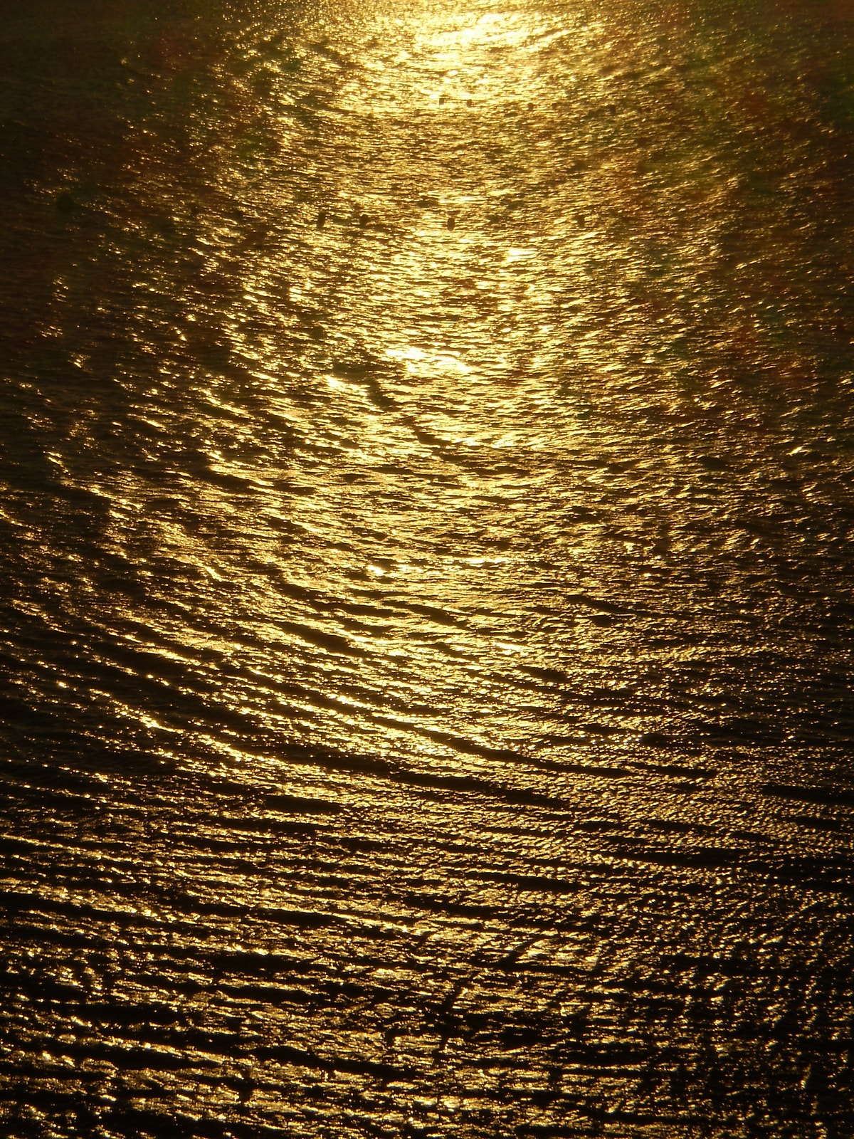Olympus FE270,X815,C510 sample photo. Yellow sunset photography